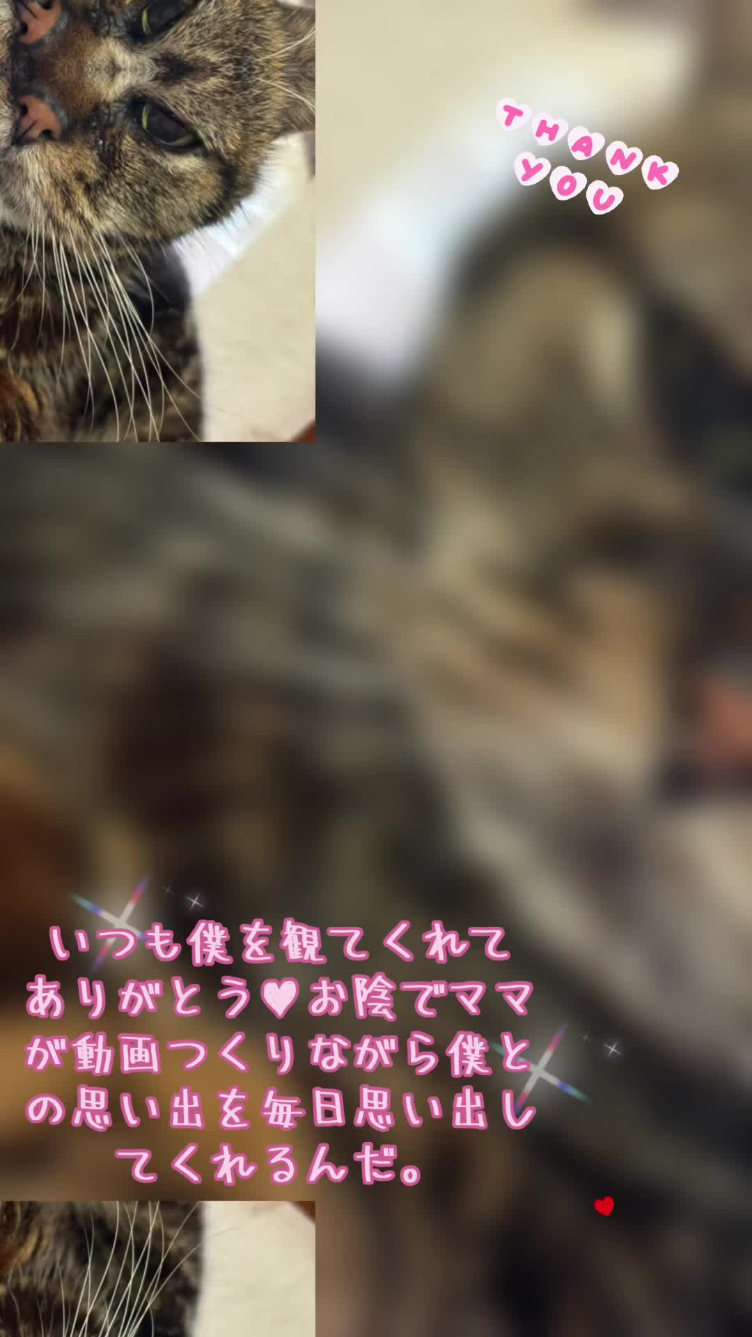 @ãµãã»ãºð∞ðç«å¥œã