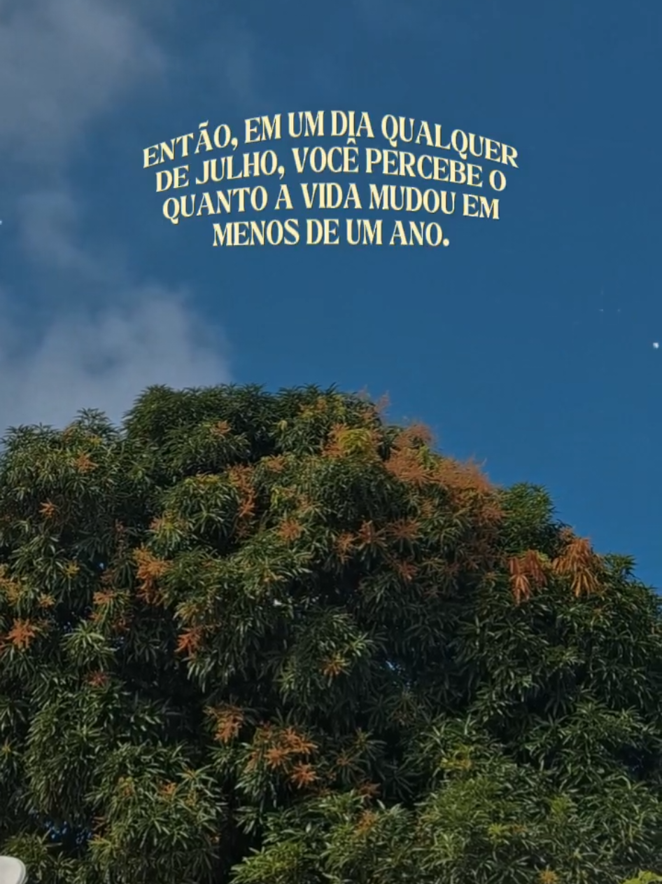@Marta Oliveira