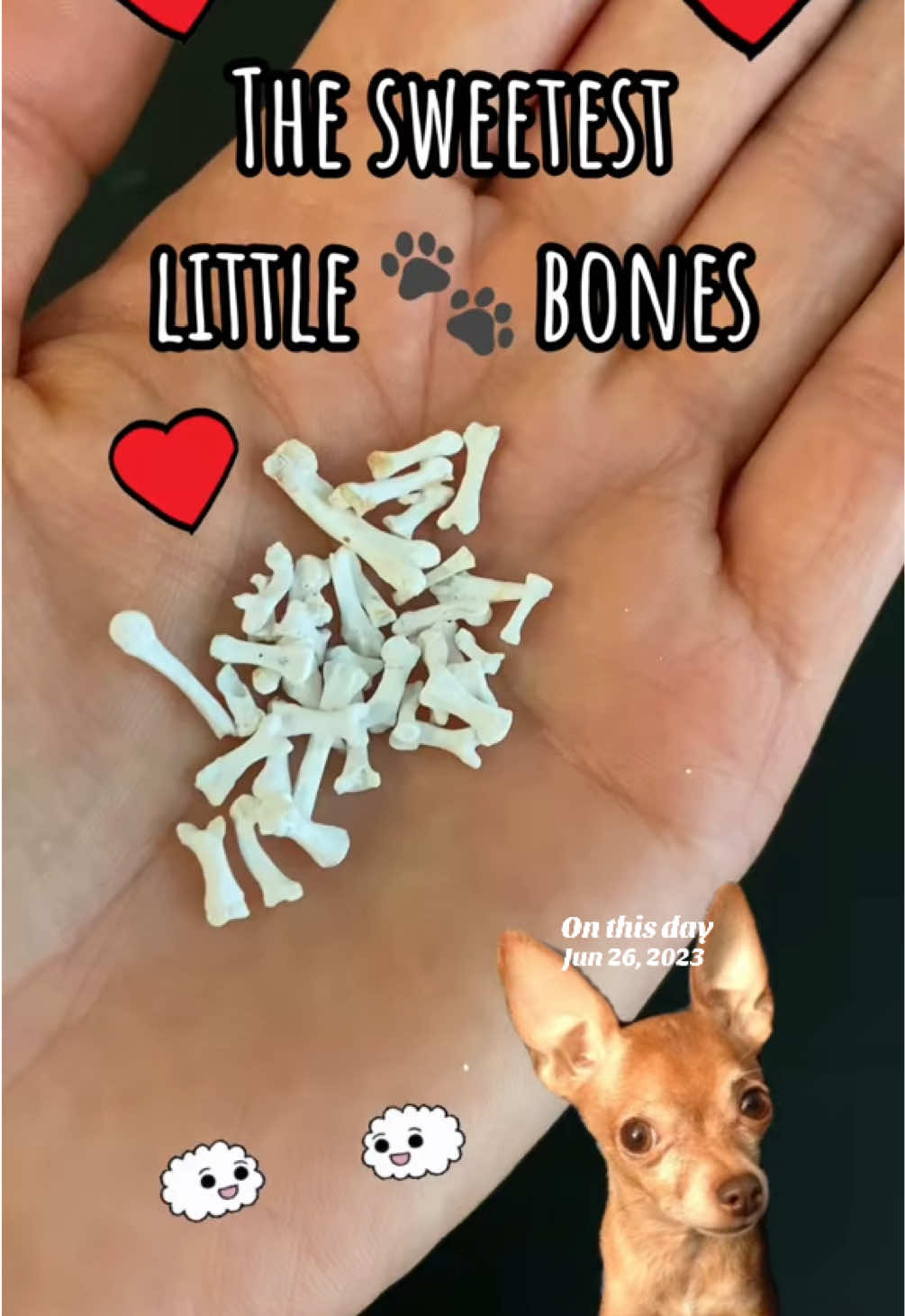 @recreateyourcellf