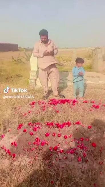 @Amir ail