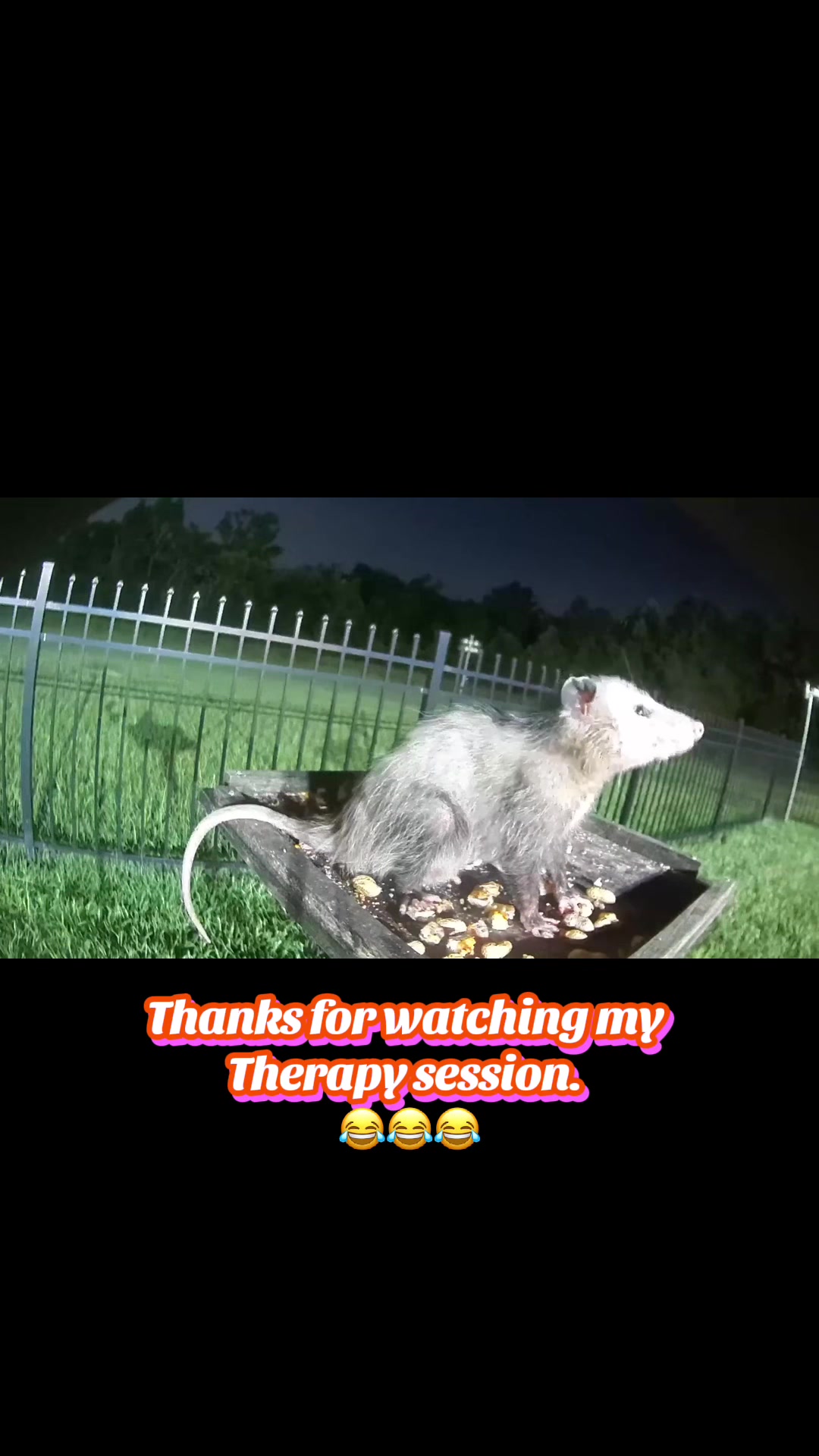 @Buffy_In_Louisiana