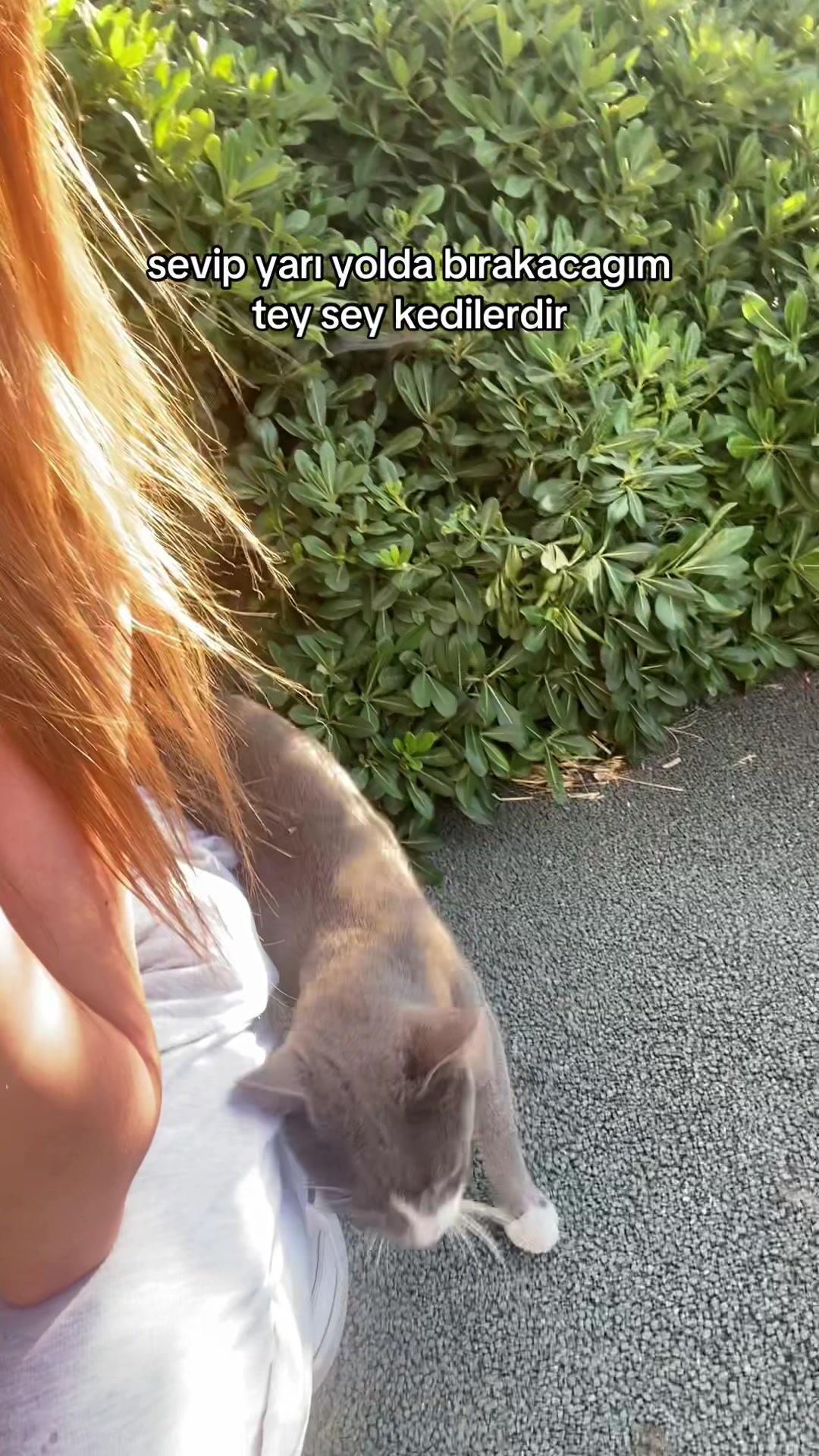@𝘩𝘢𝘮𝘪𝘥𝘦