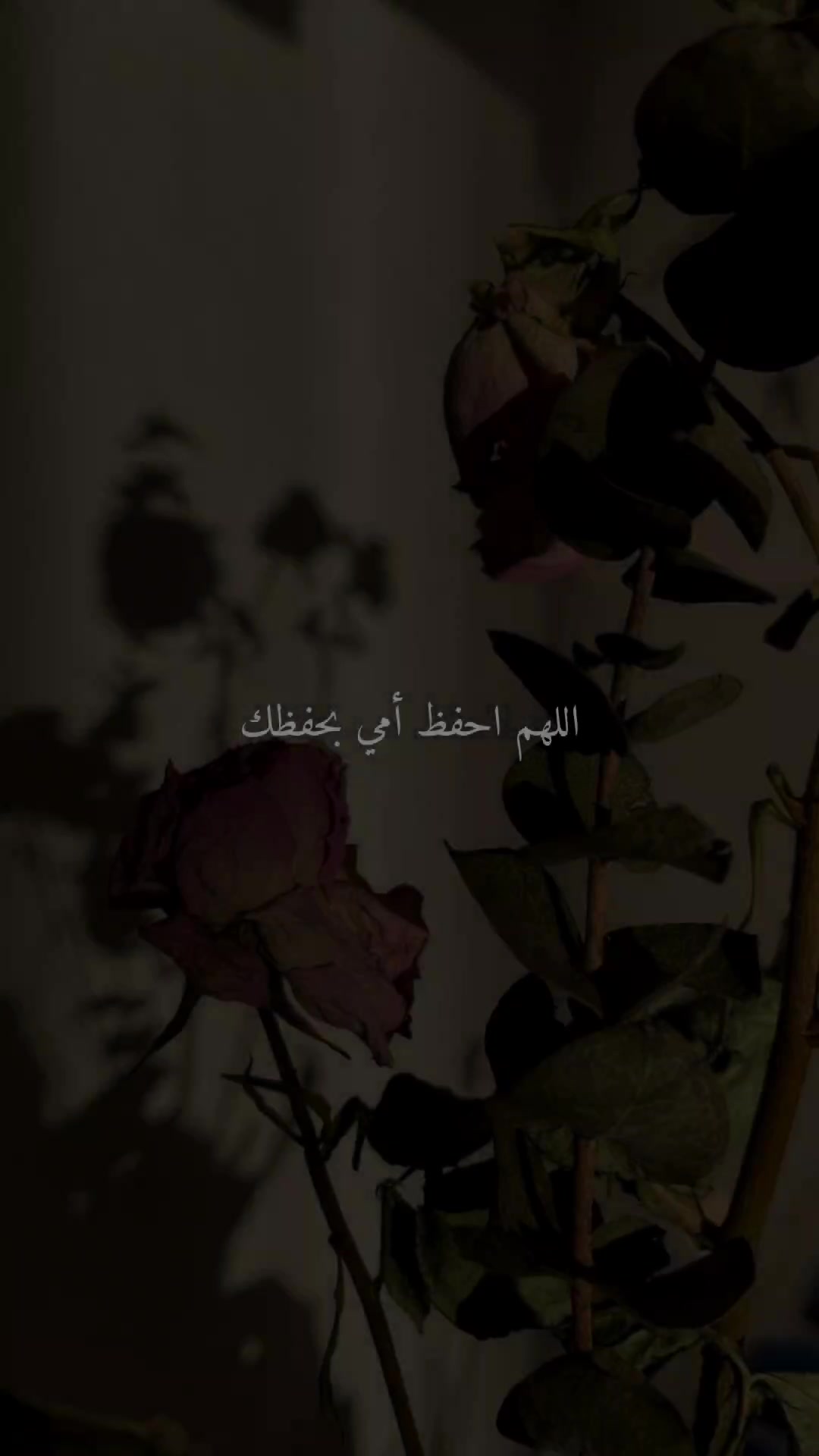@Hassan Harraz