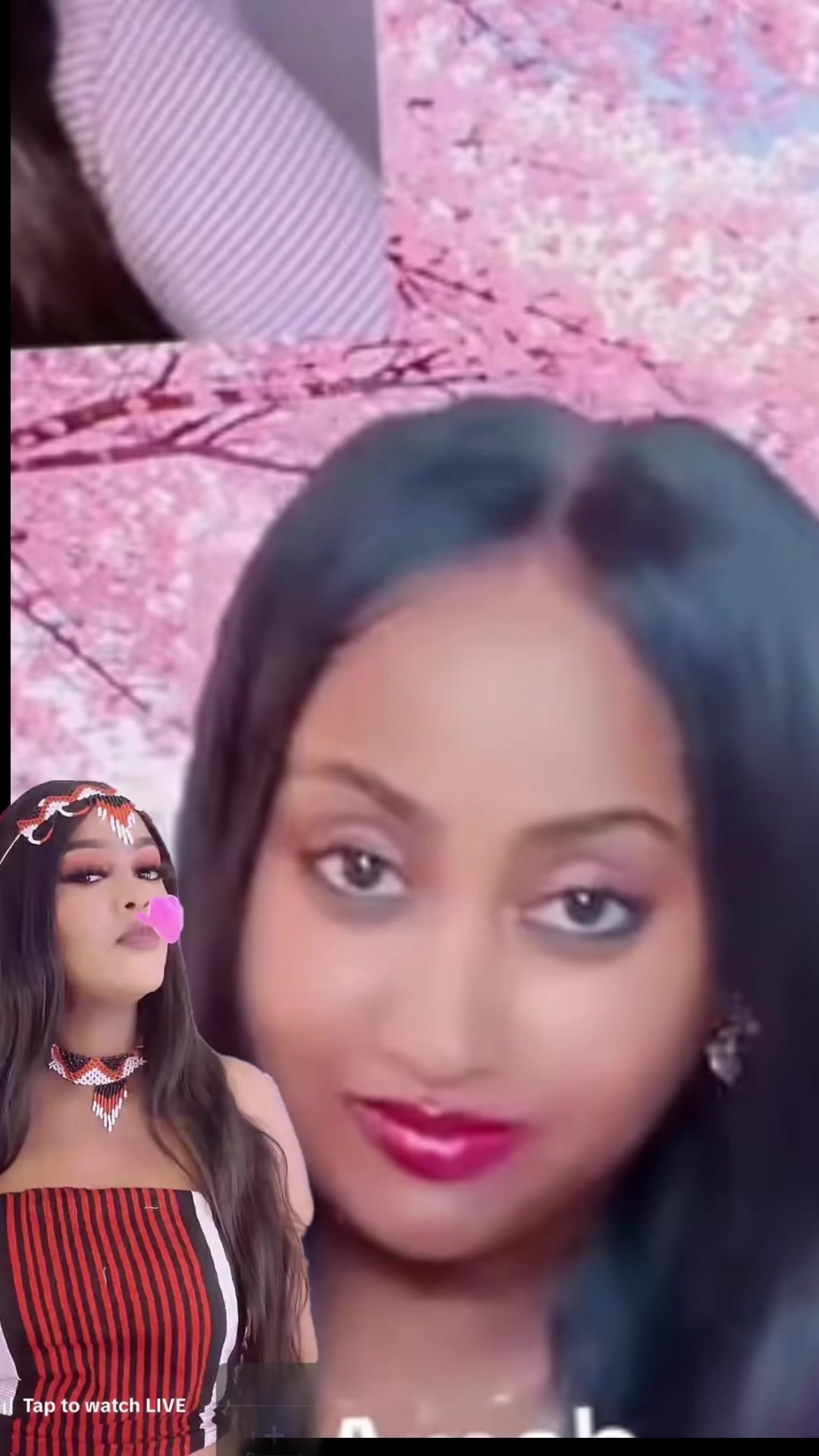 @Jaal🤍ሊሊ Boru🌳