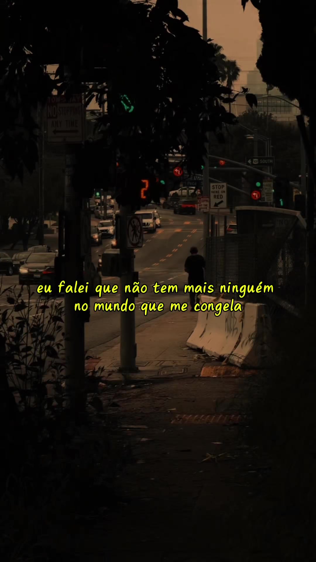 @L.C Músicas