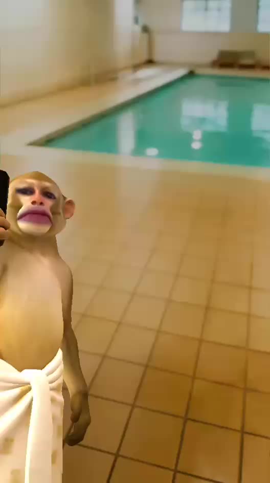 @Francafusaro05