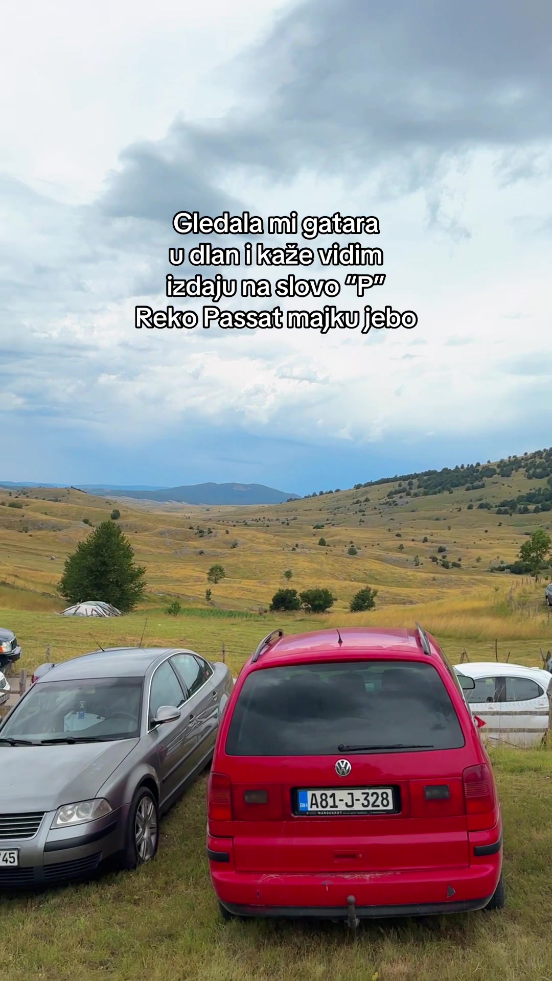 @TikTok AMMER