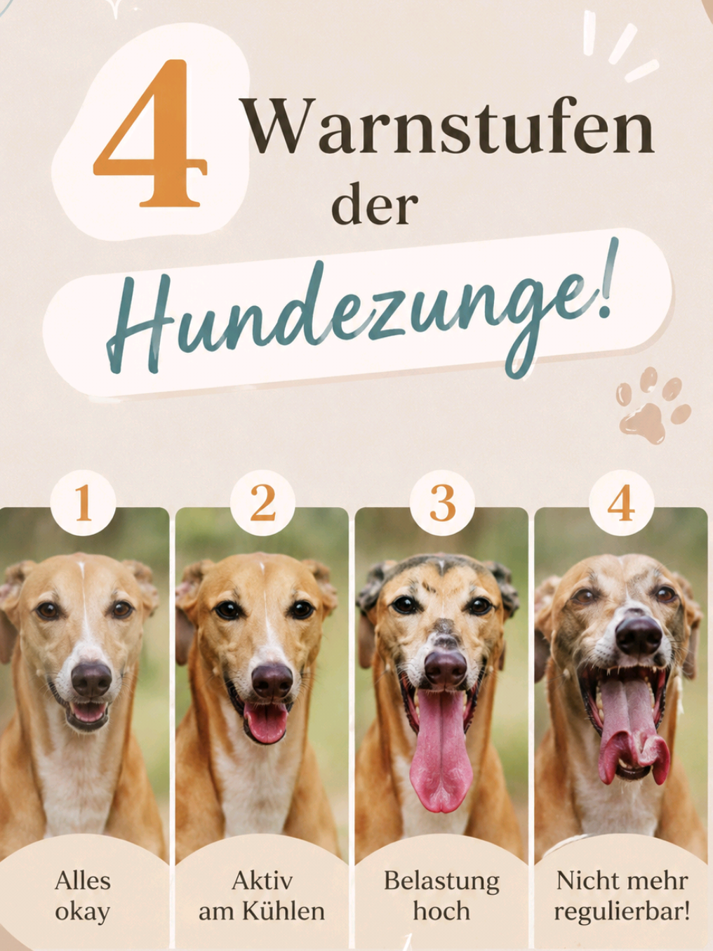 @Olesia &bull; Hundezentrum Lapki