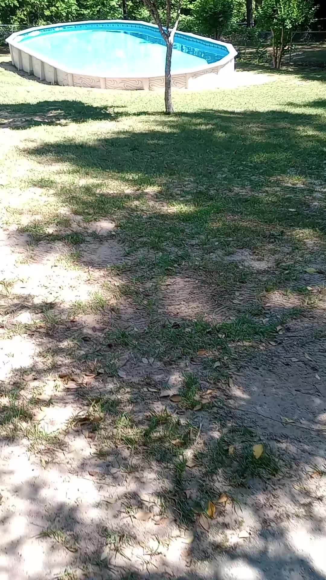 @TootiesDad