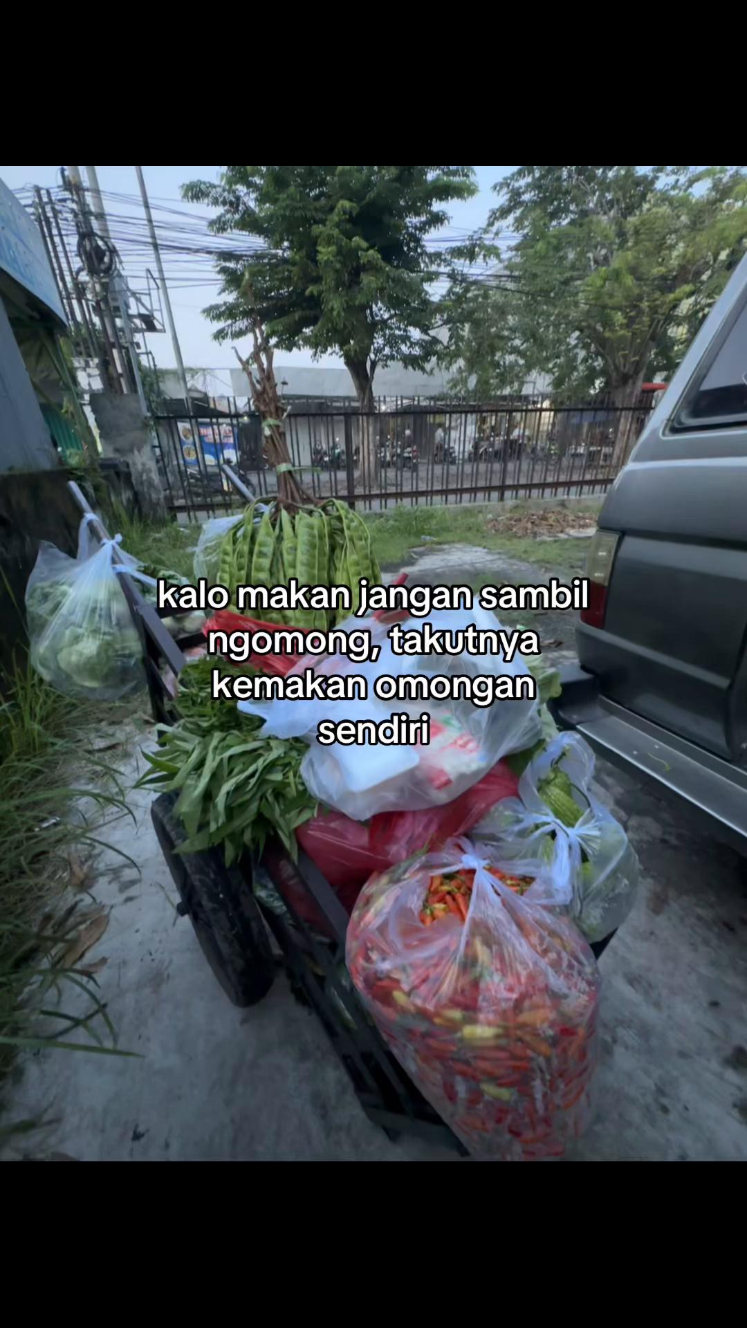 @MbakLiid sayur