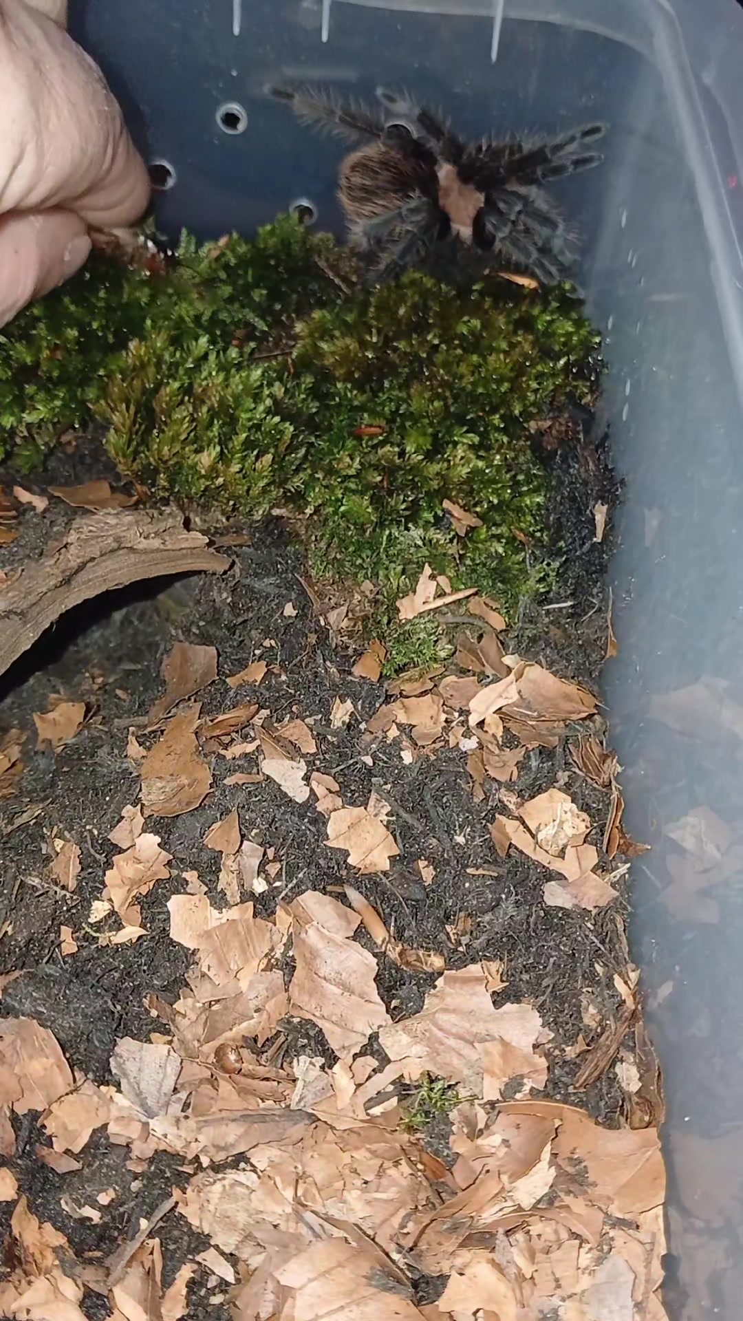 @craigscritterworld1