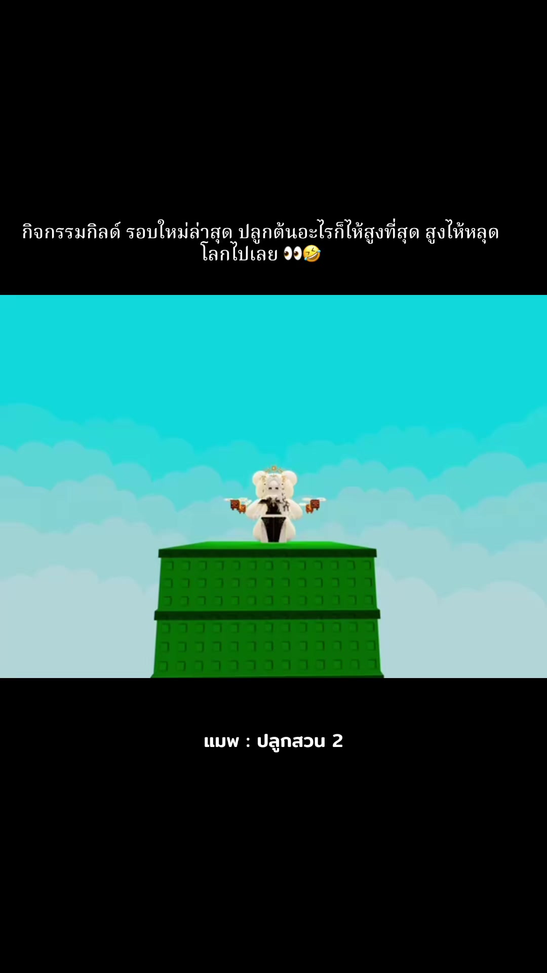 @แมวหัวเน่า No.1
