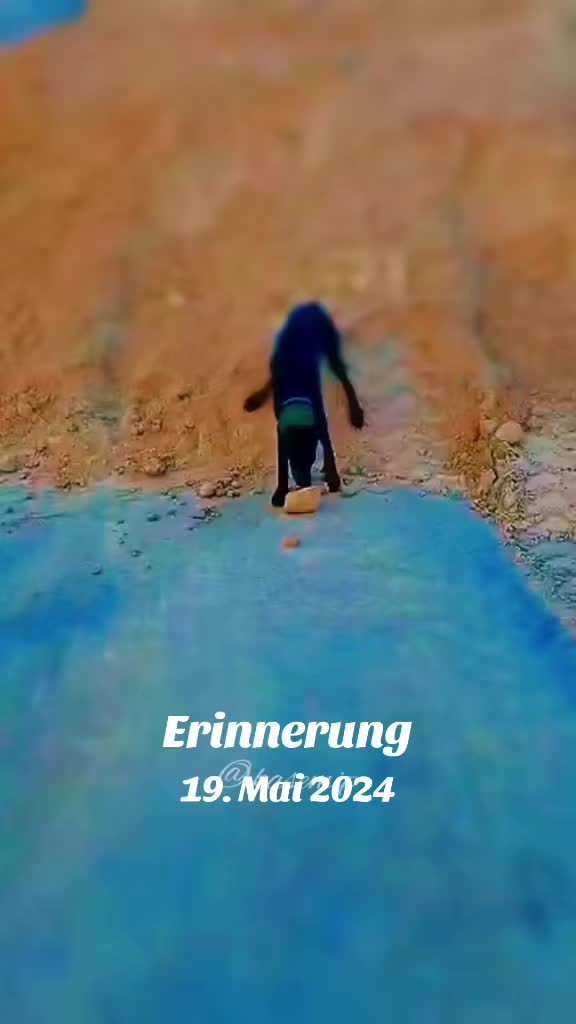@🦊Rotfüchsin🦊