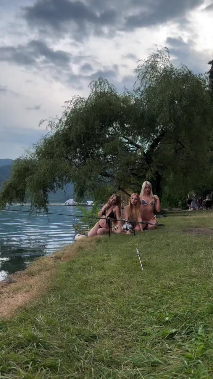 @carpworldonline