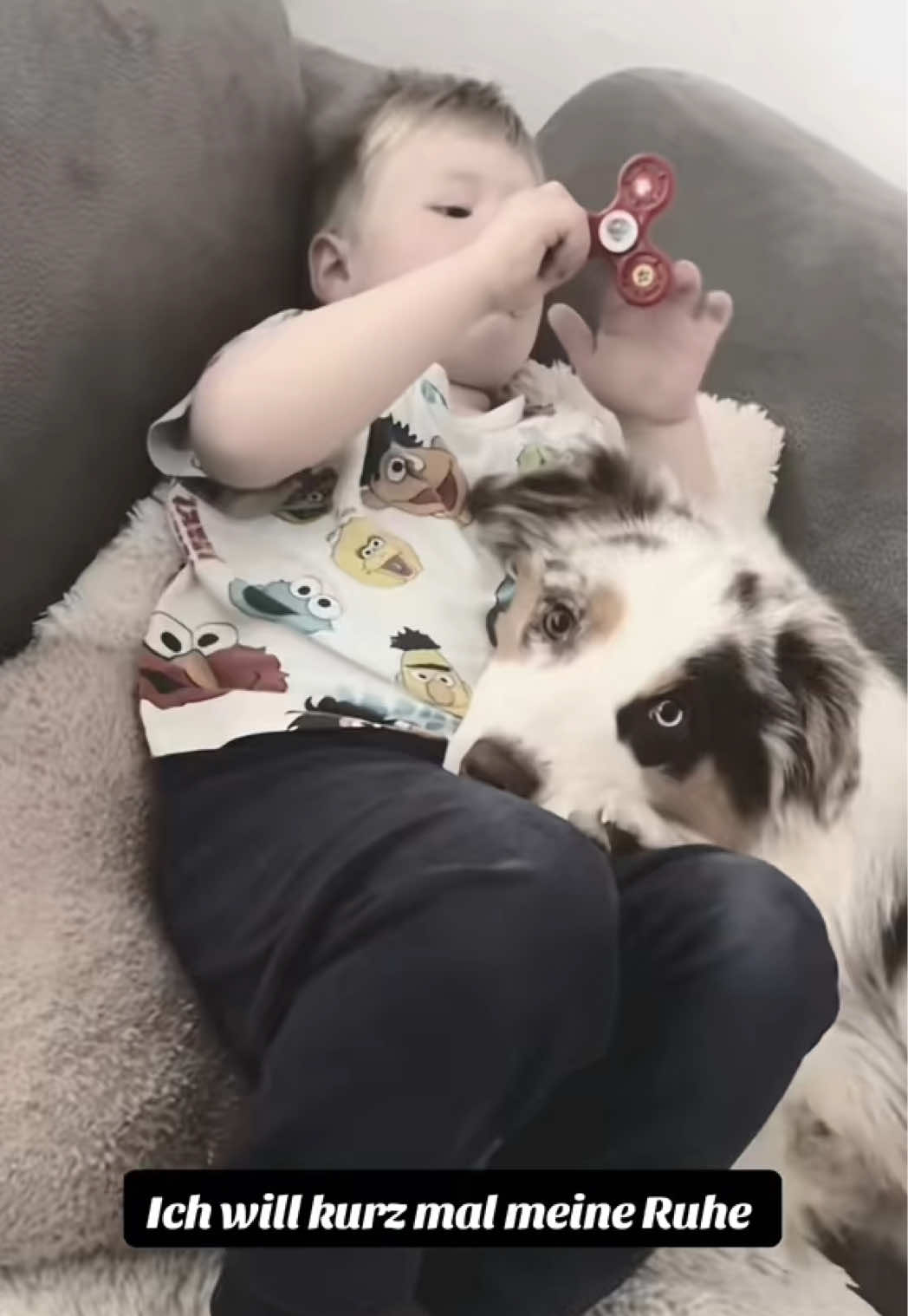 @Mylo_wird_zum_Assistenzhund