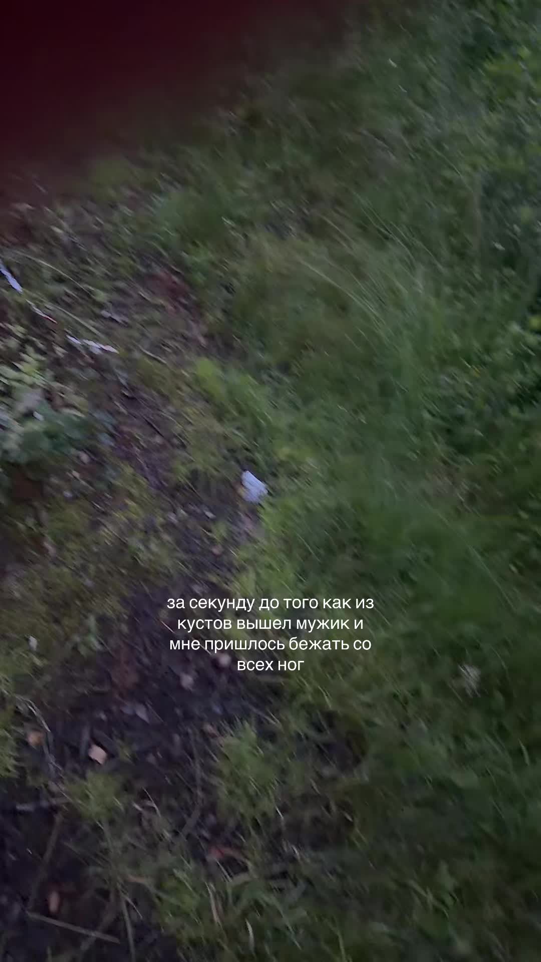 @майлибанди