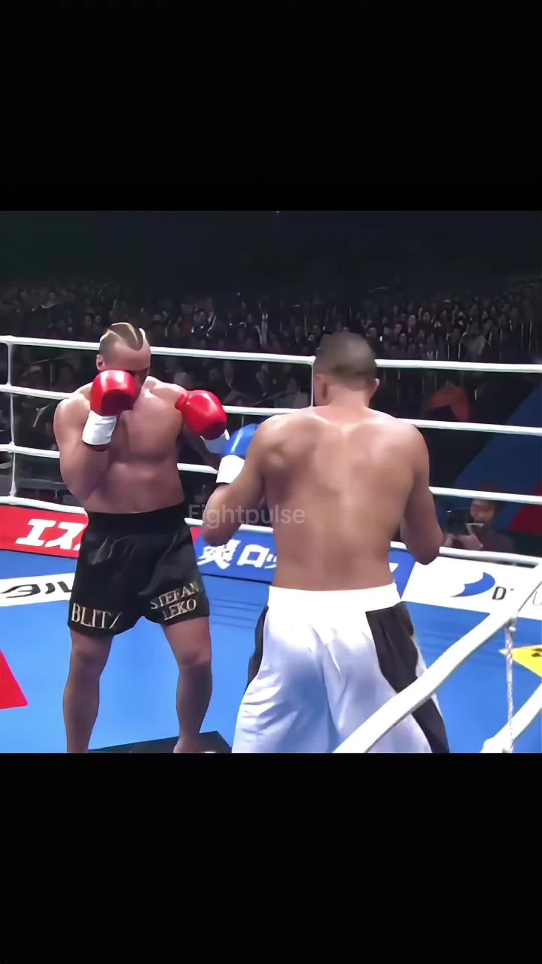 @fightpulse