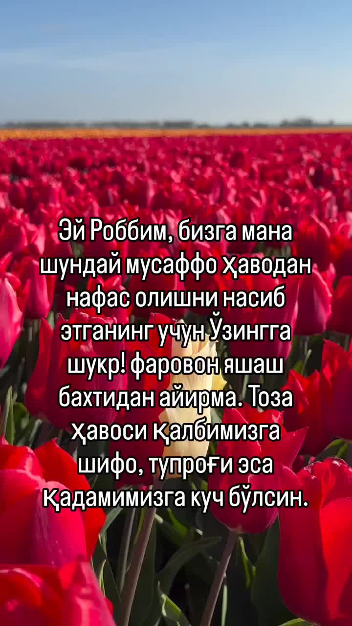 @shahnoza_070
