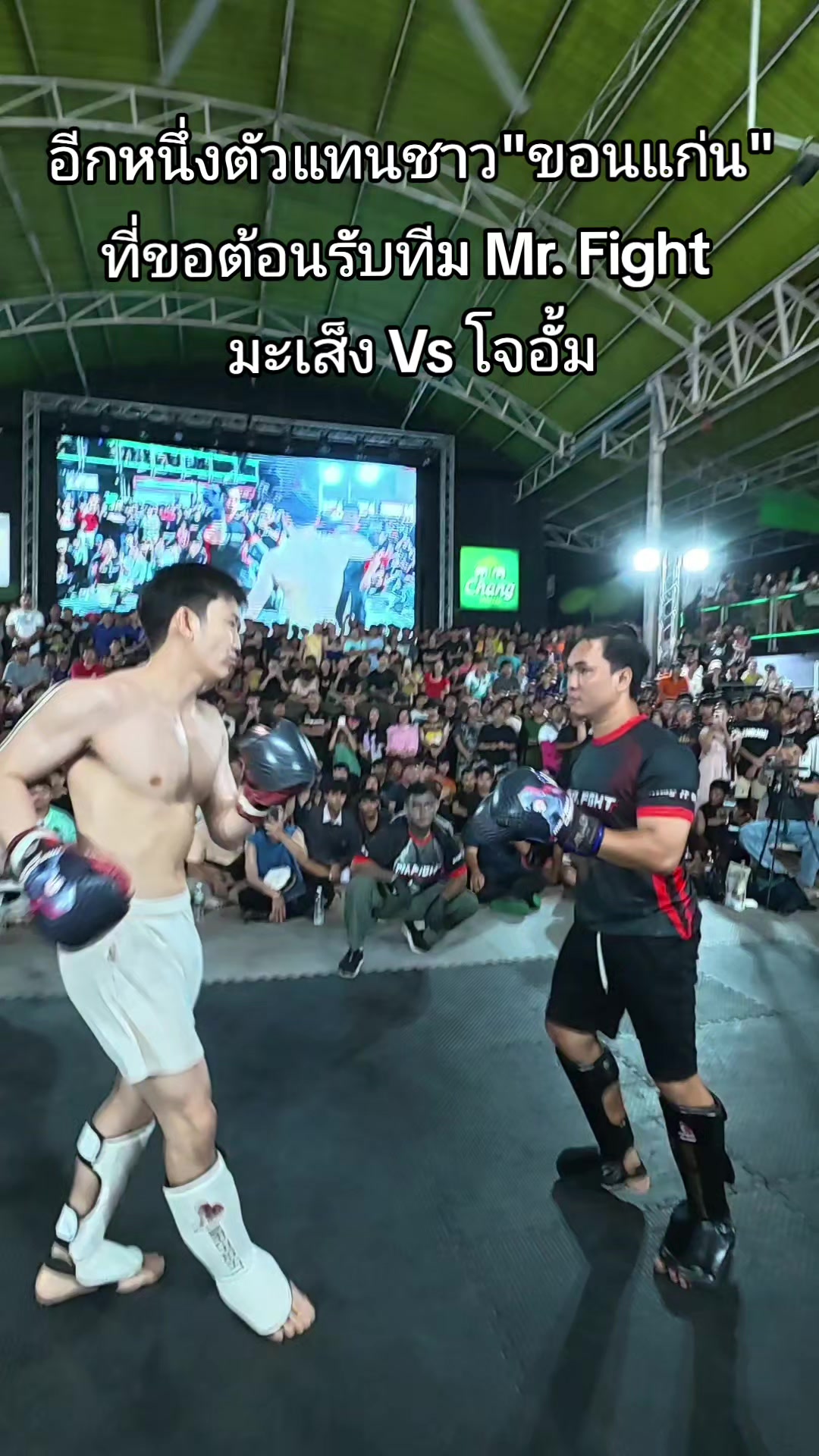 @Mr.Fight
