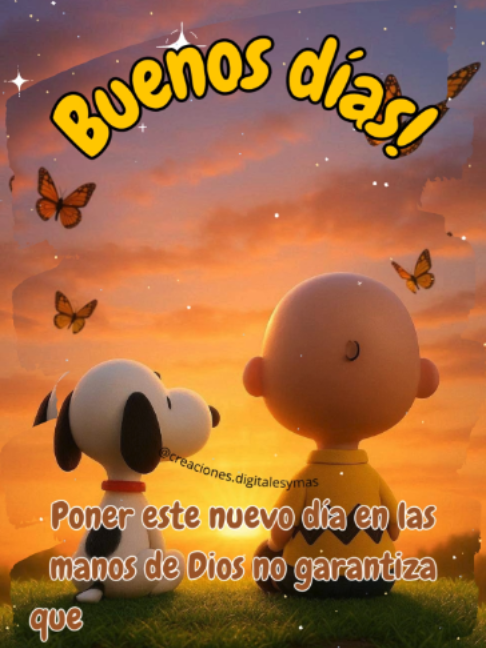 @adachajon.gt