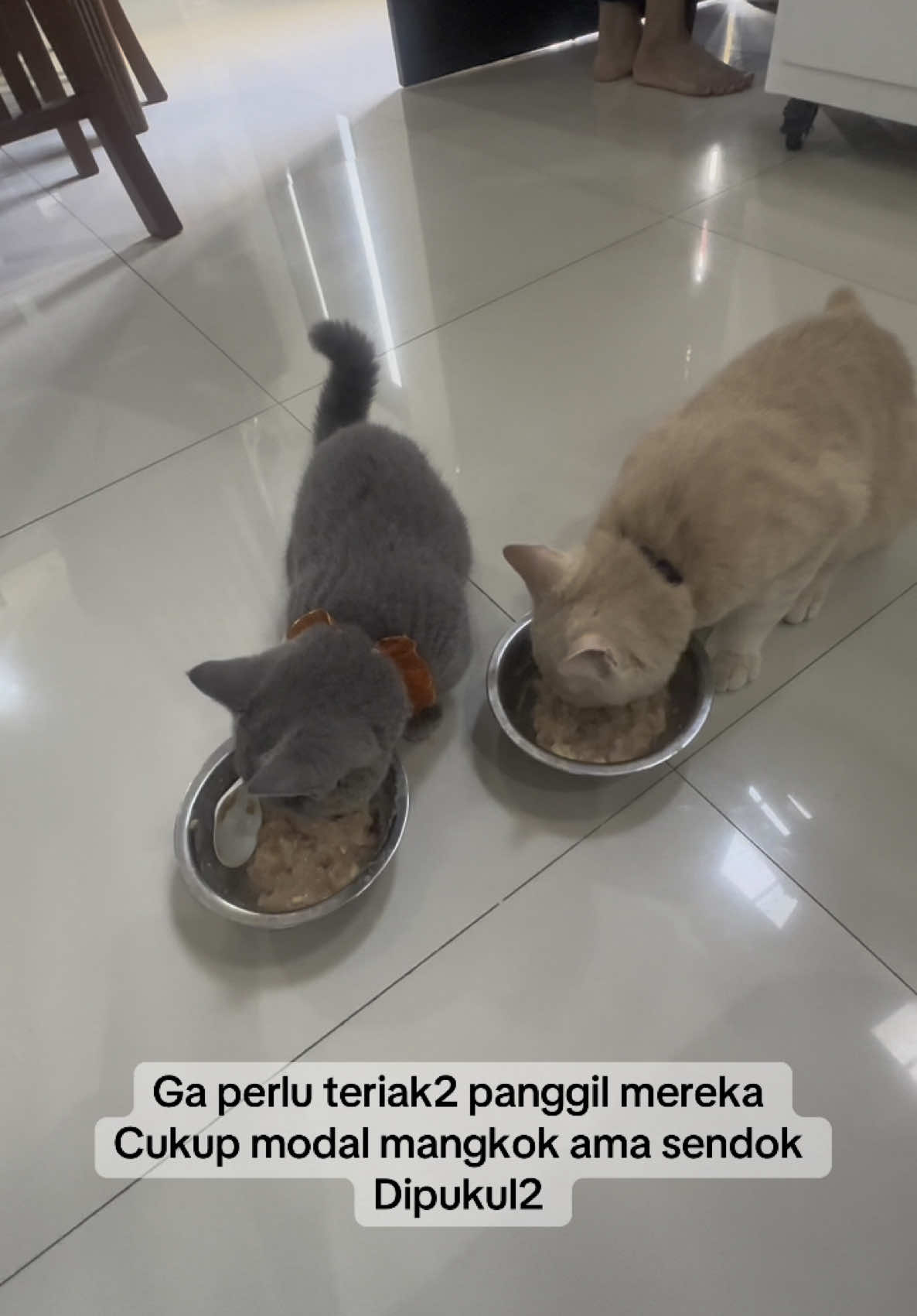 @Afrida Hapsari