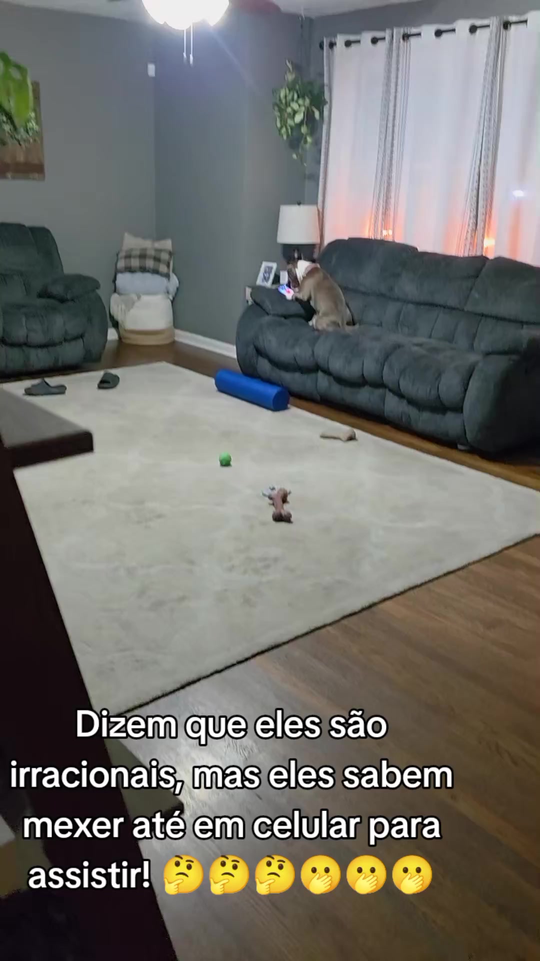 @Marcos Sarinho
