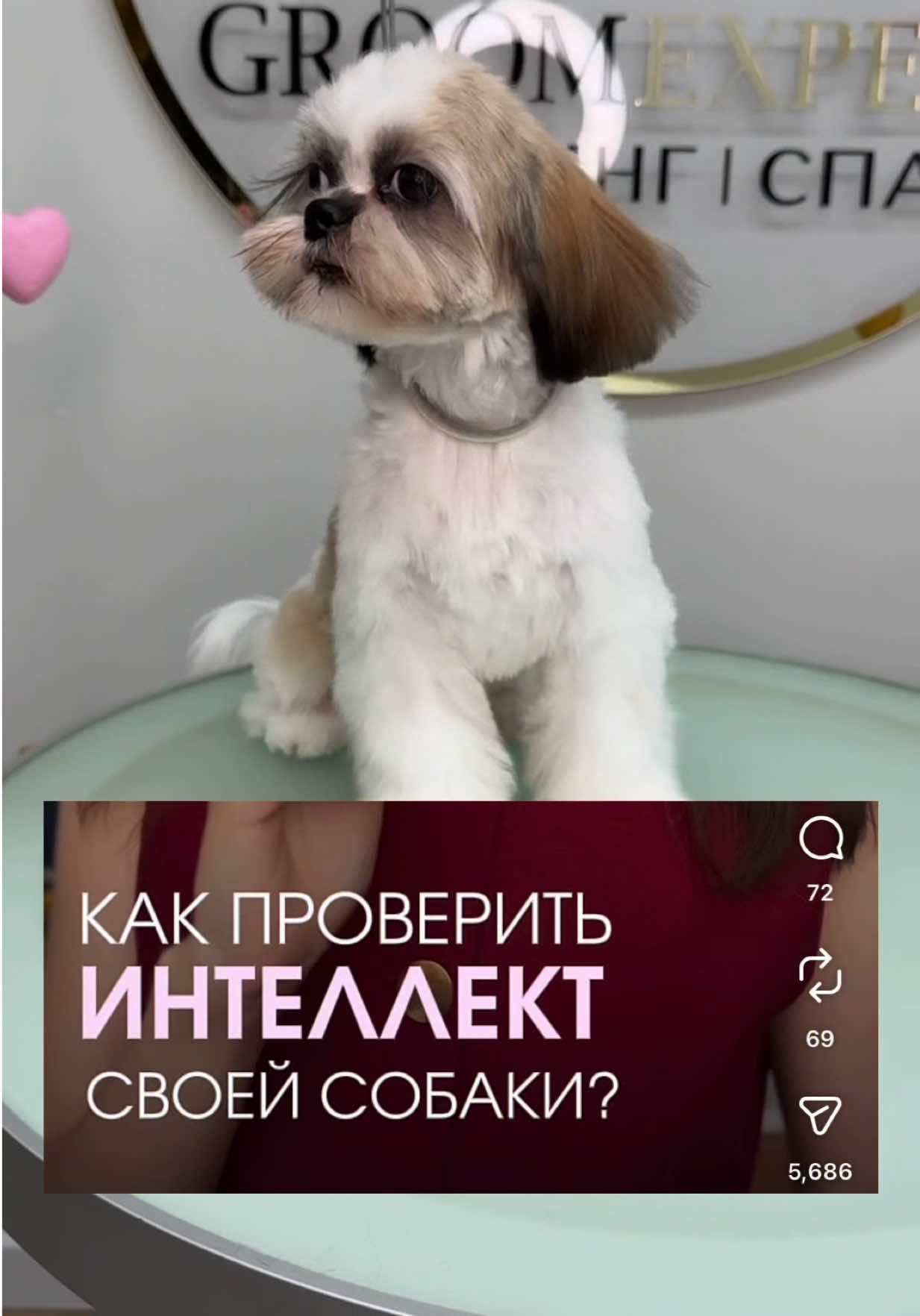 @exe.rar