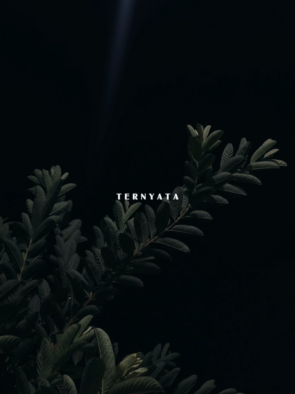 @𝐋𝐢𝐫𝐢𝐤 𝐒𝐞𝐝𝐞𝐫𝐡𝐚𝐧𝐚