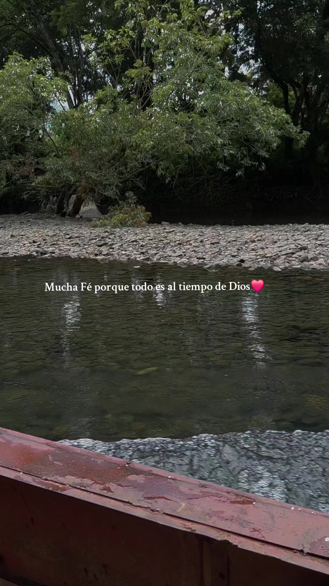 @🌸LUCHI🌸