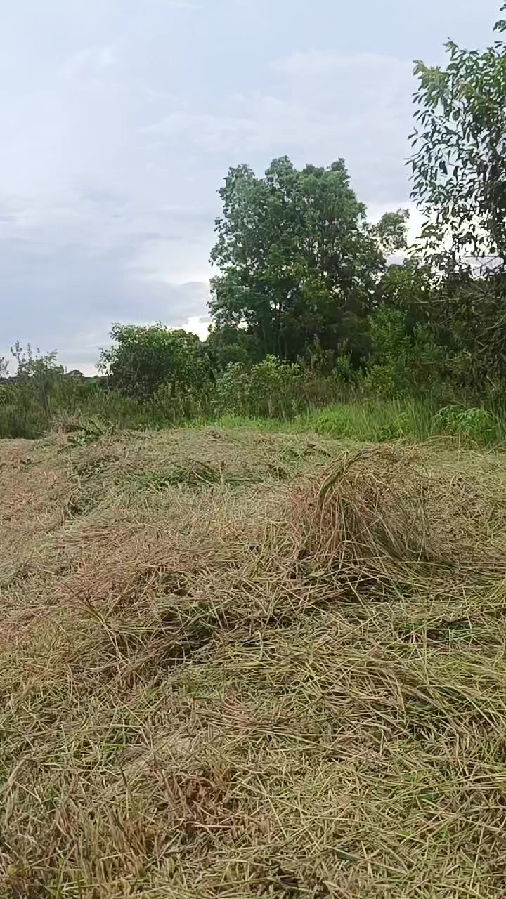 @FOGUINHO 🔥