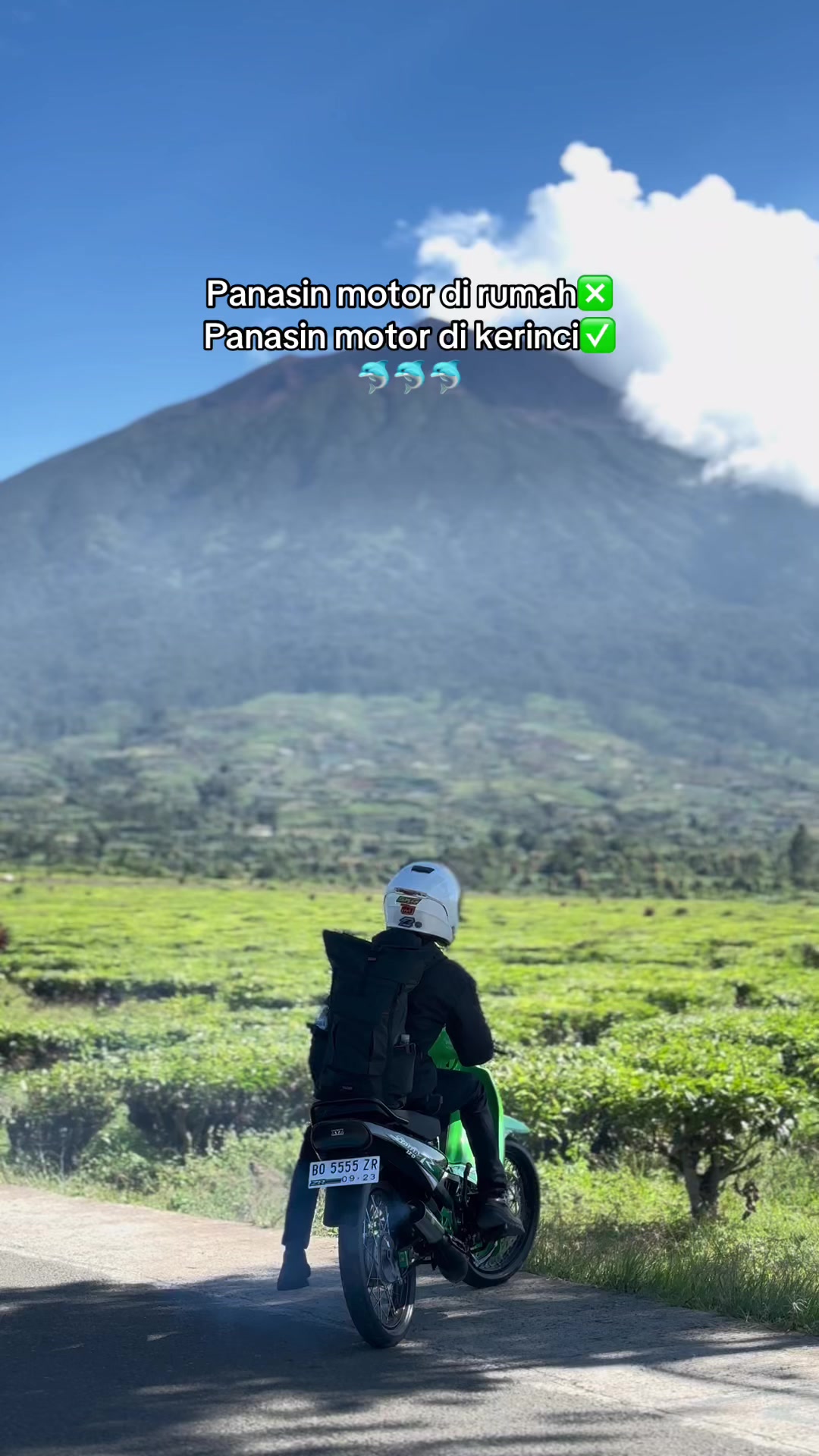 @zr sumbar16💚