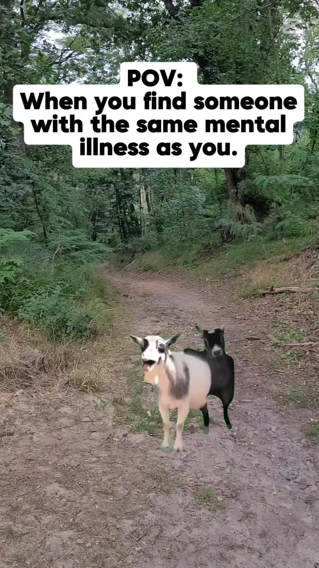 @Midazgd