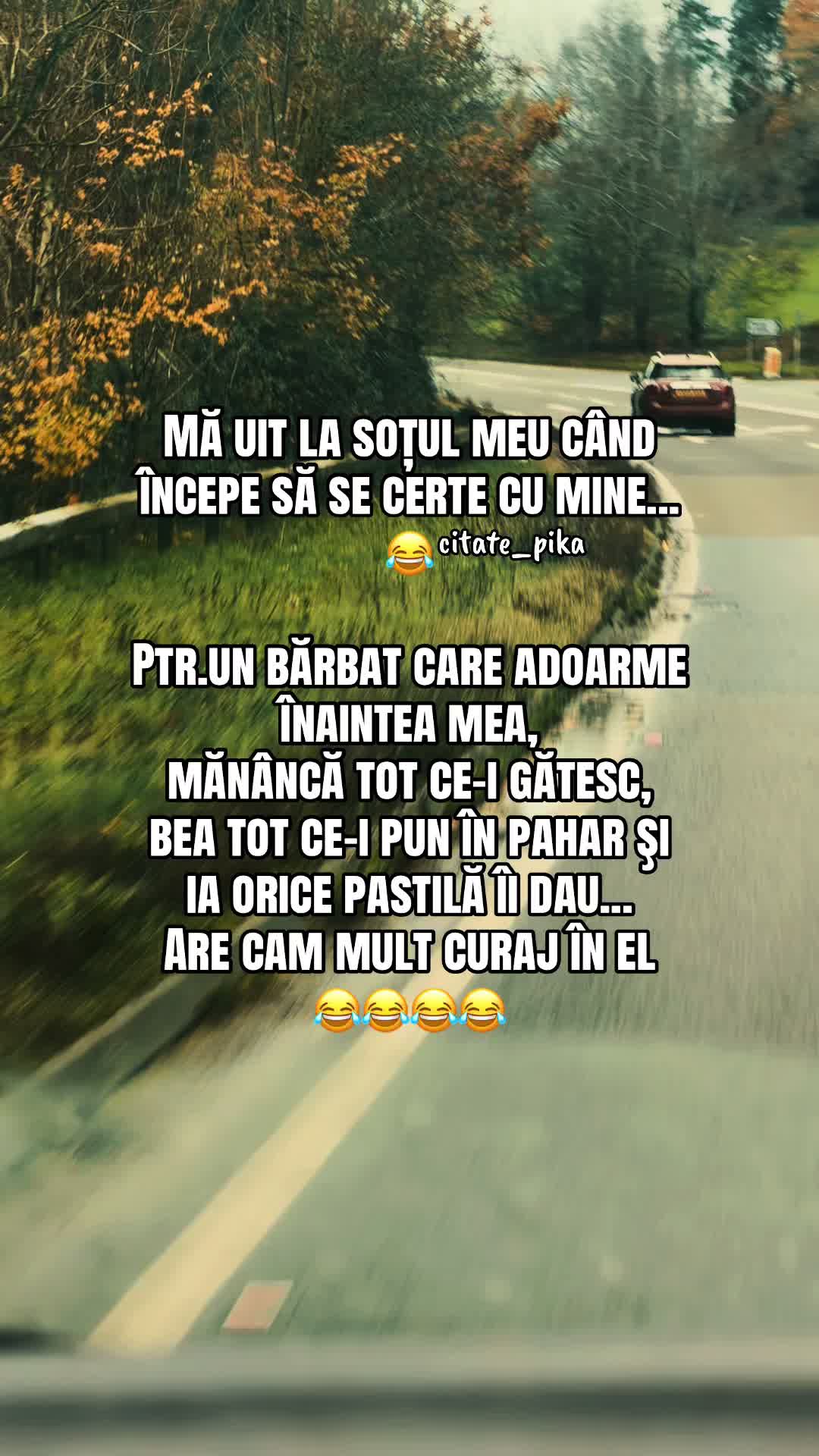 @citate_pika