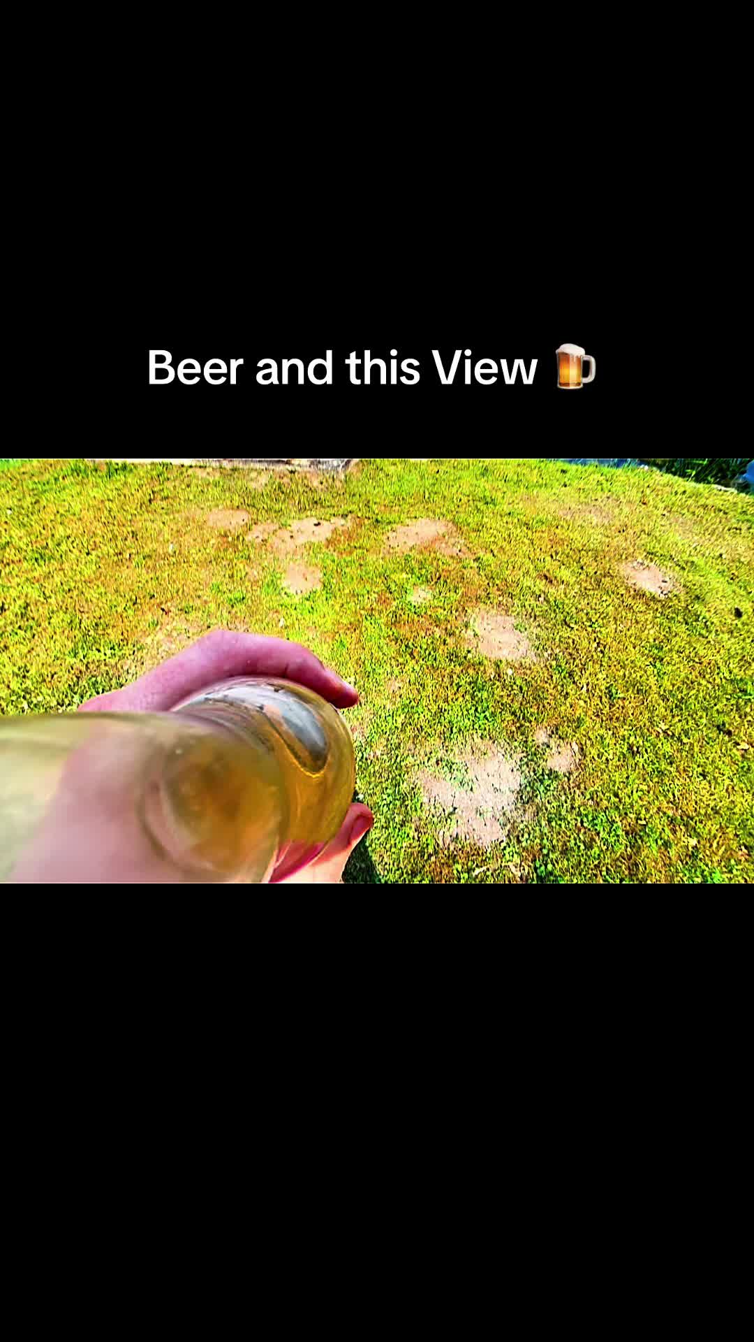 @Zomblights