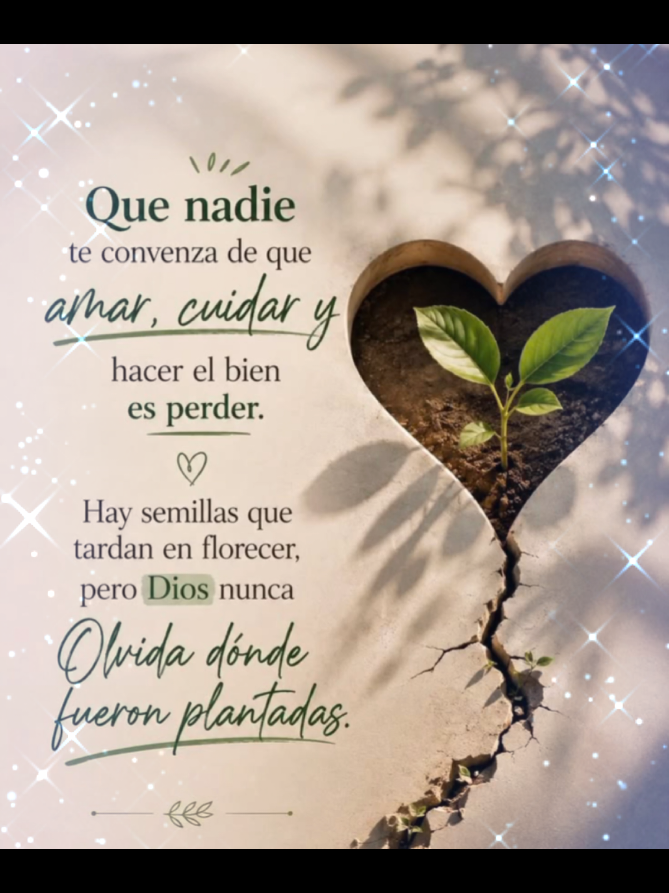@✨Carlos 👍✨