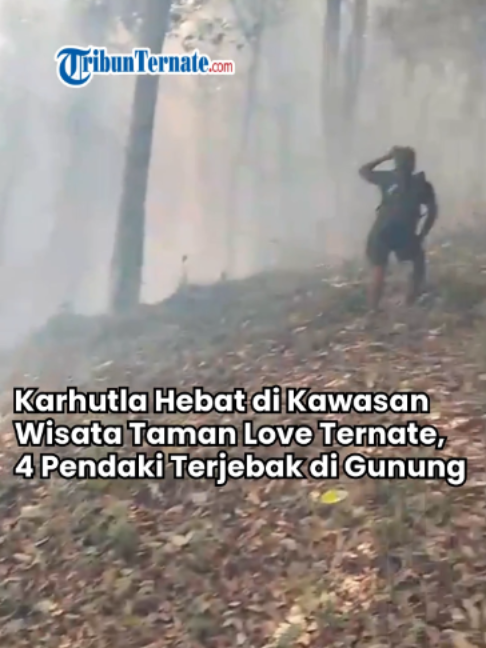 @TribunTernate.com