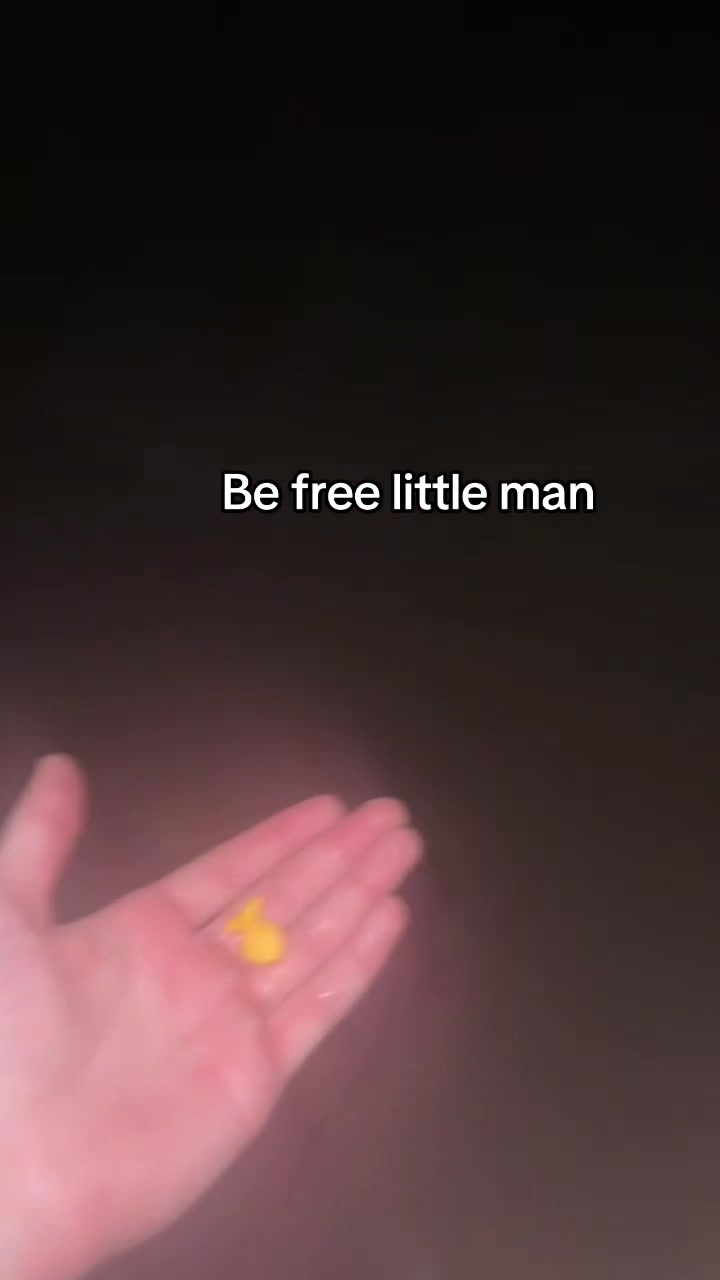 @Hayden C