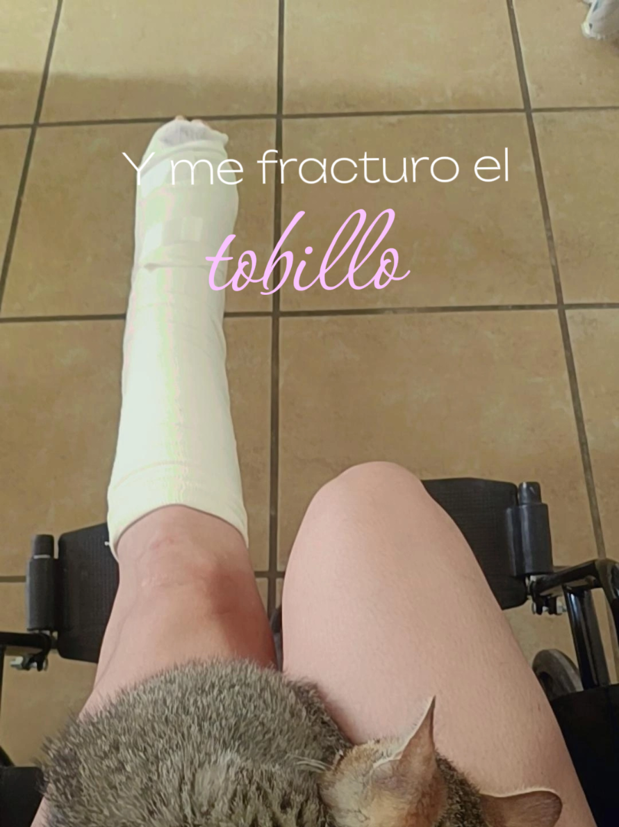 @Doryz P&eacute;rez