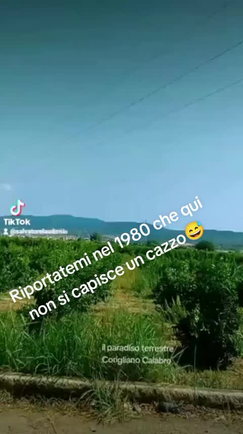 @Salvo66