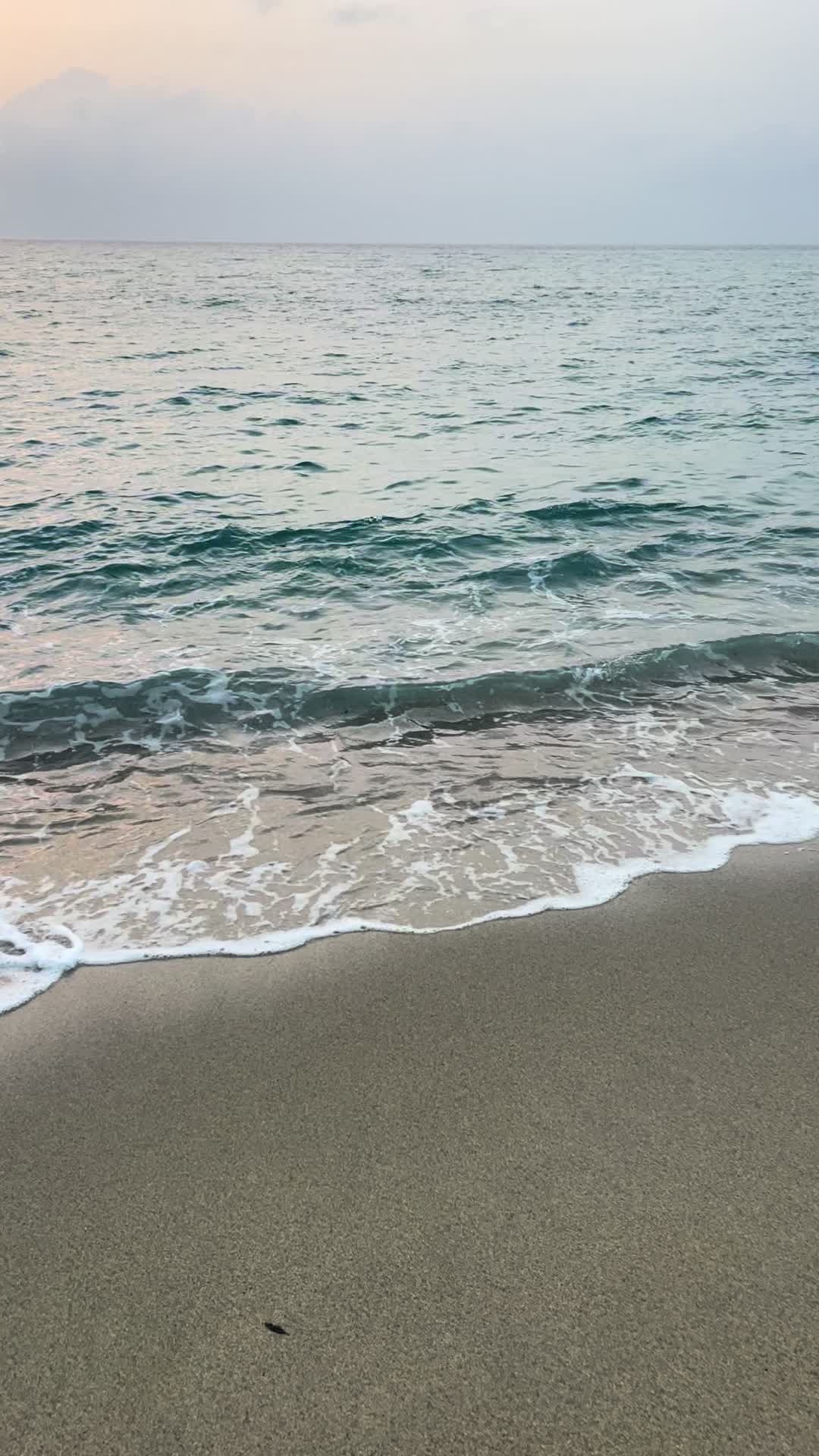 @Giordano
