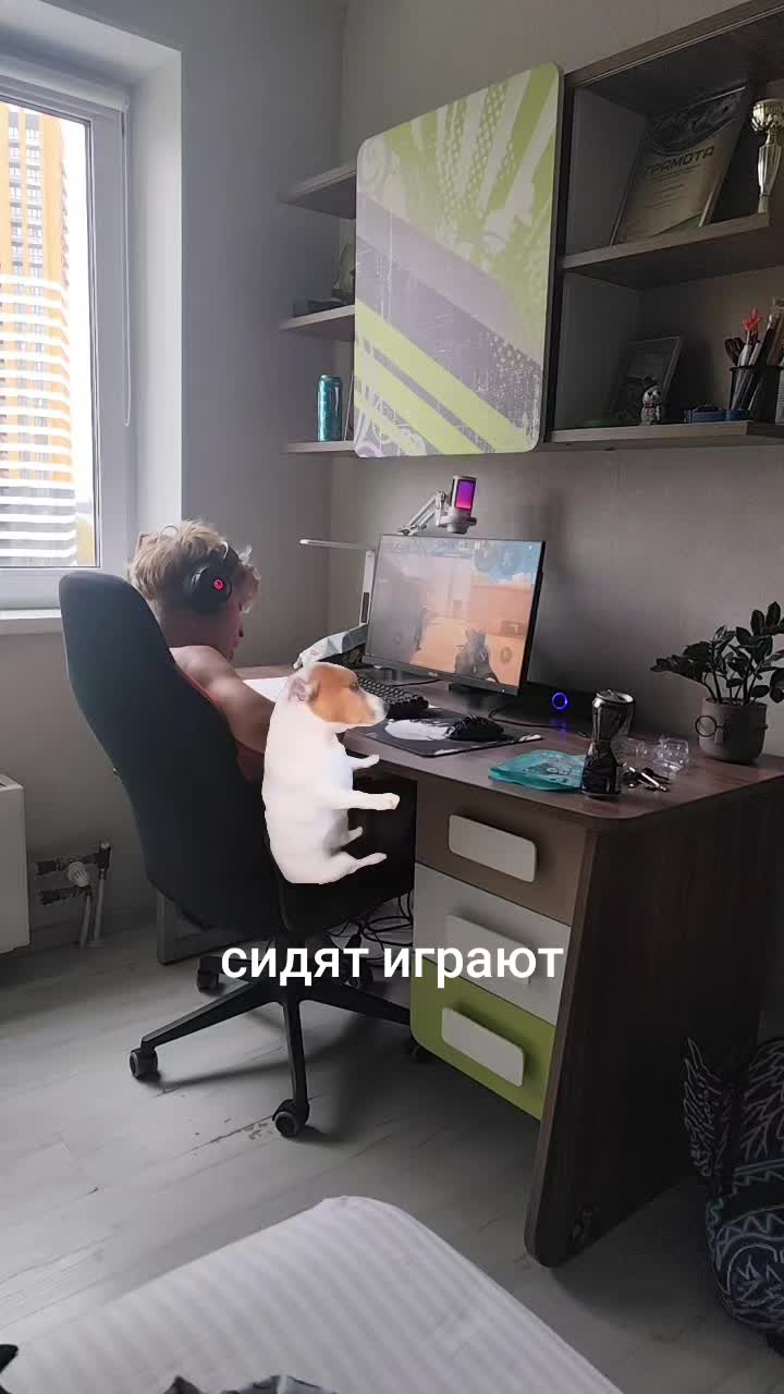 @demka8_nn#🇺🇸🇷🇺🇯🇵