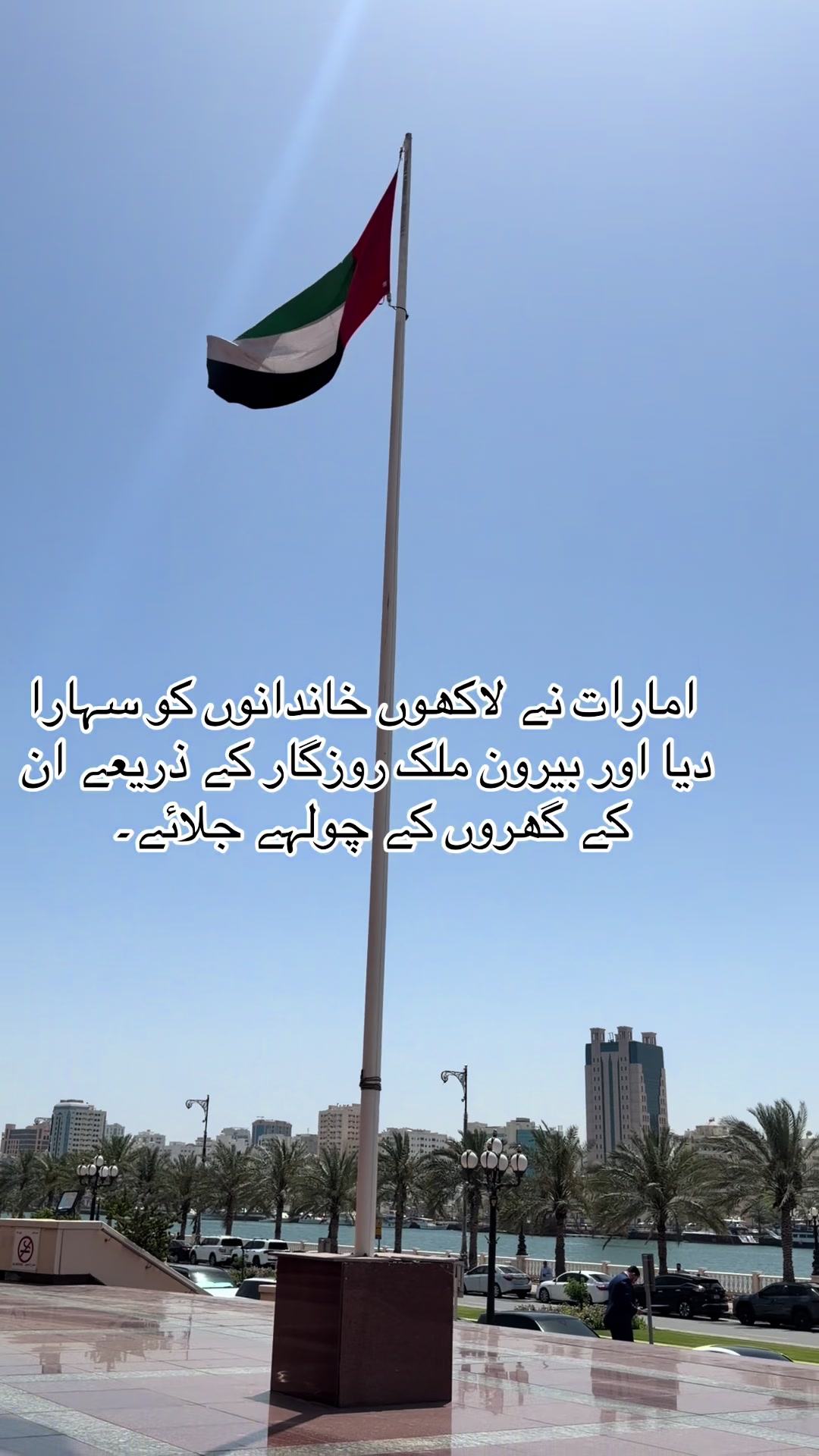 @mktrading.dubai