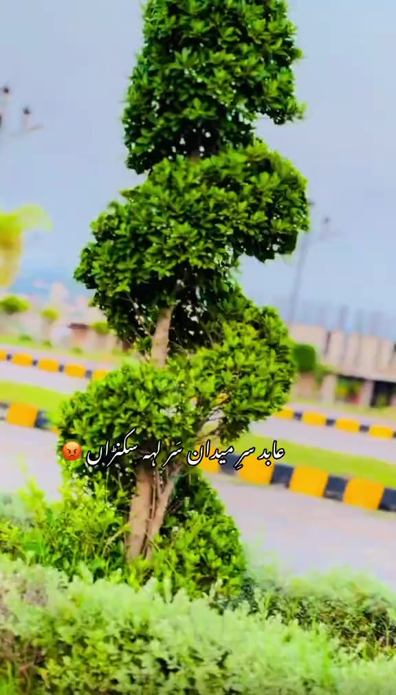@🖤🖤 *سیاہ بخت یتیم*🖤🖤