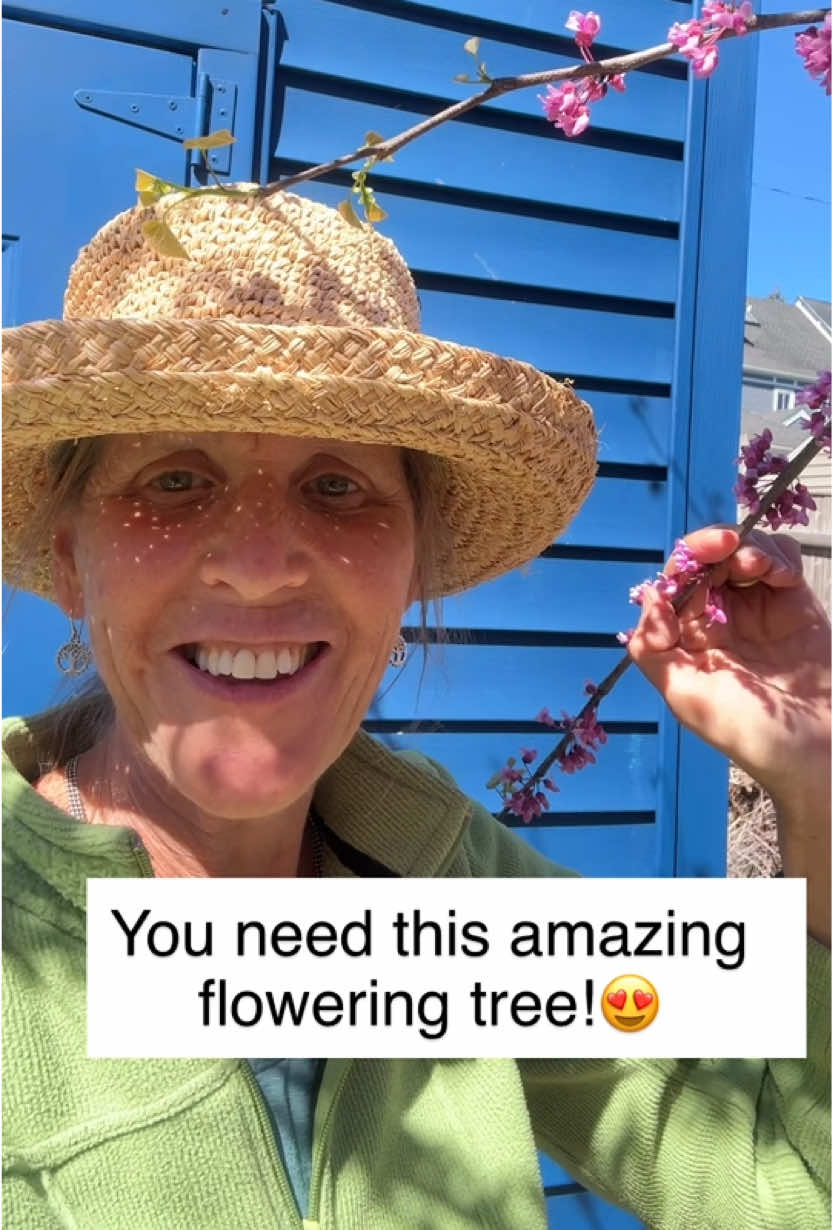 @You Can Do It Gardening