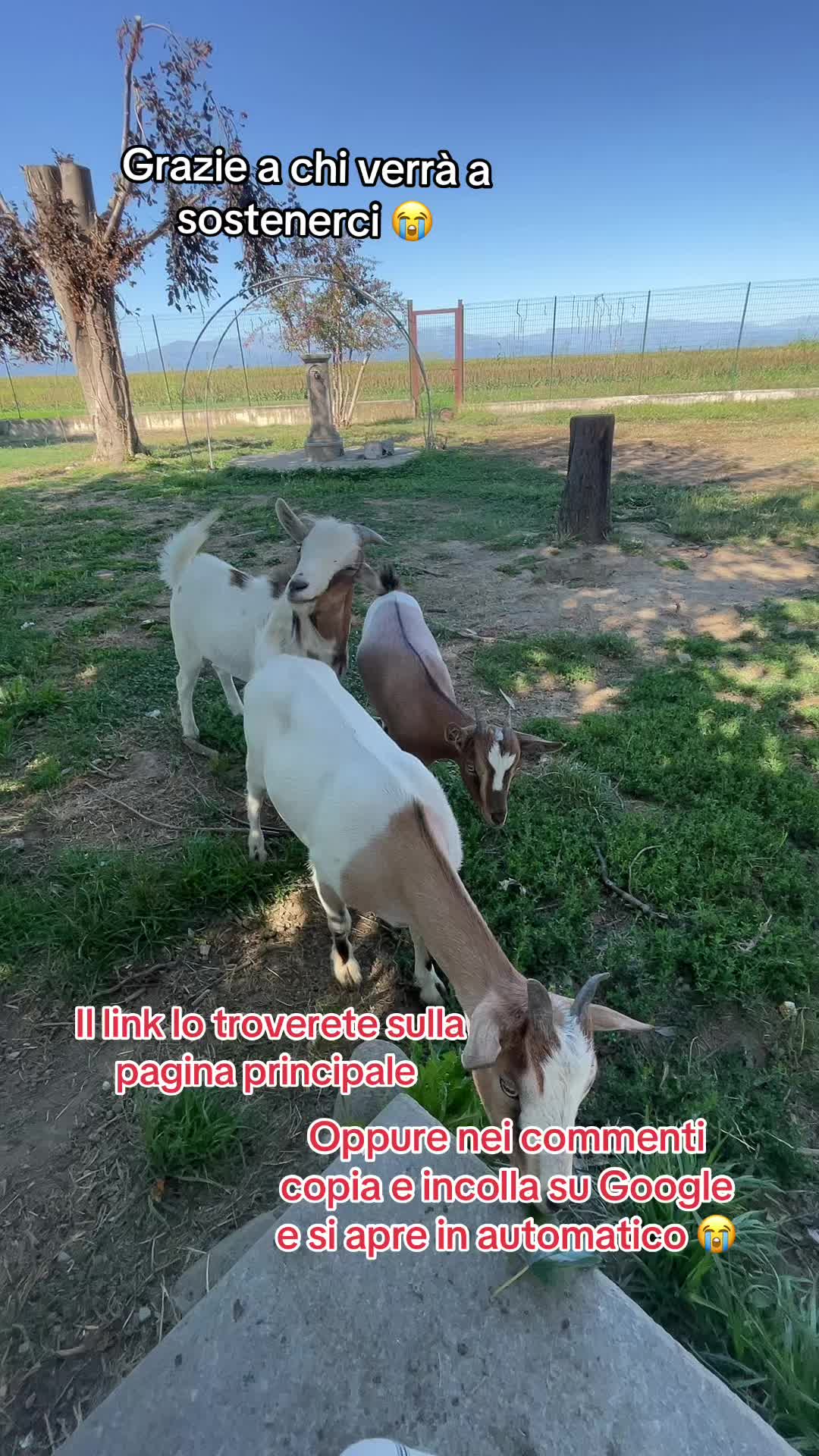 @KIRA❤️LEYLA💙
