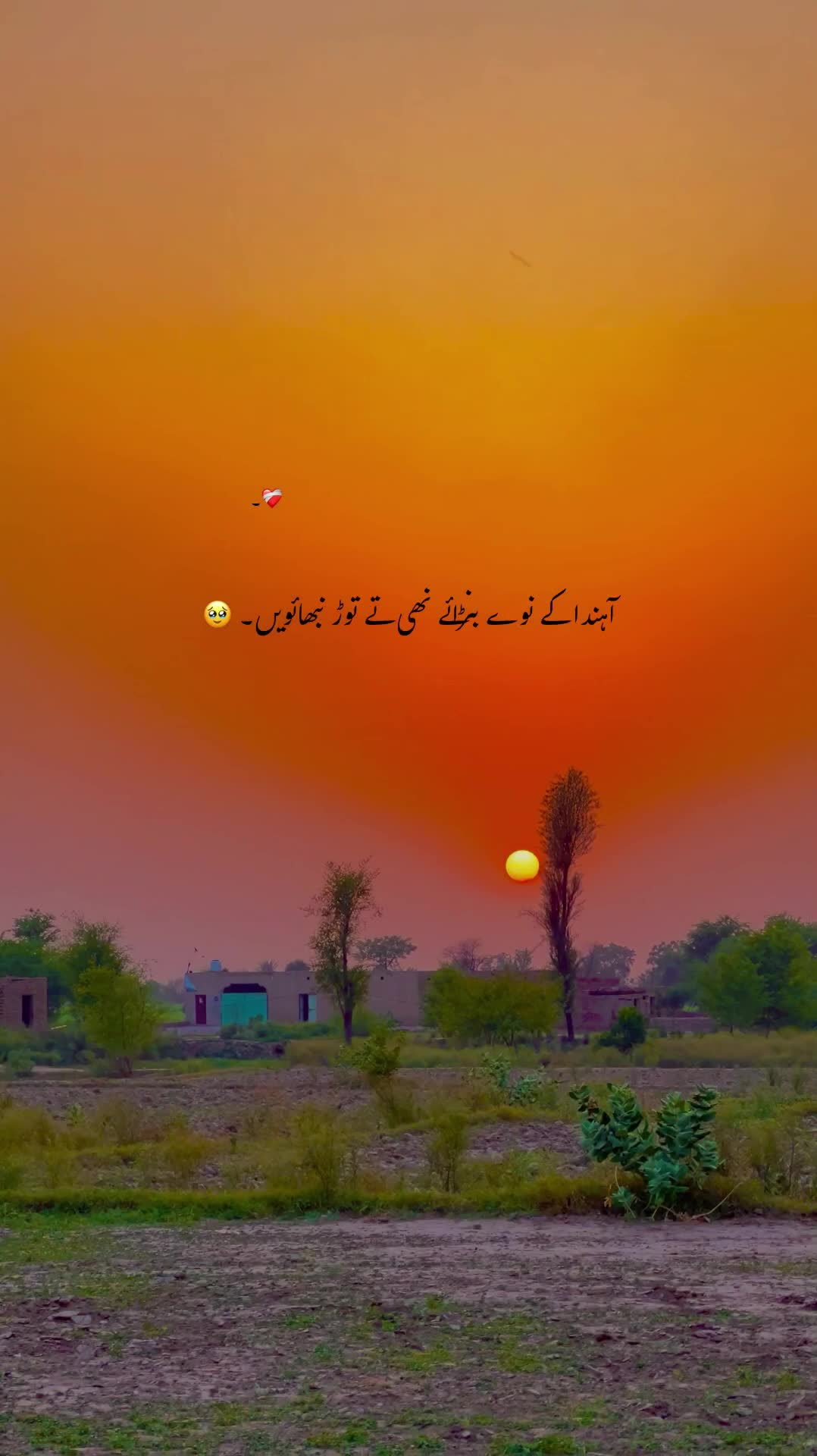 @💸 ⋆