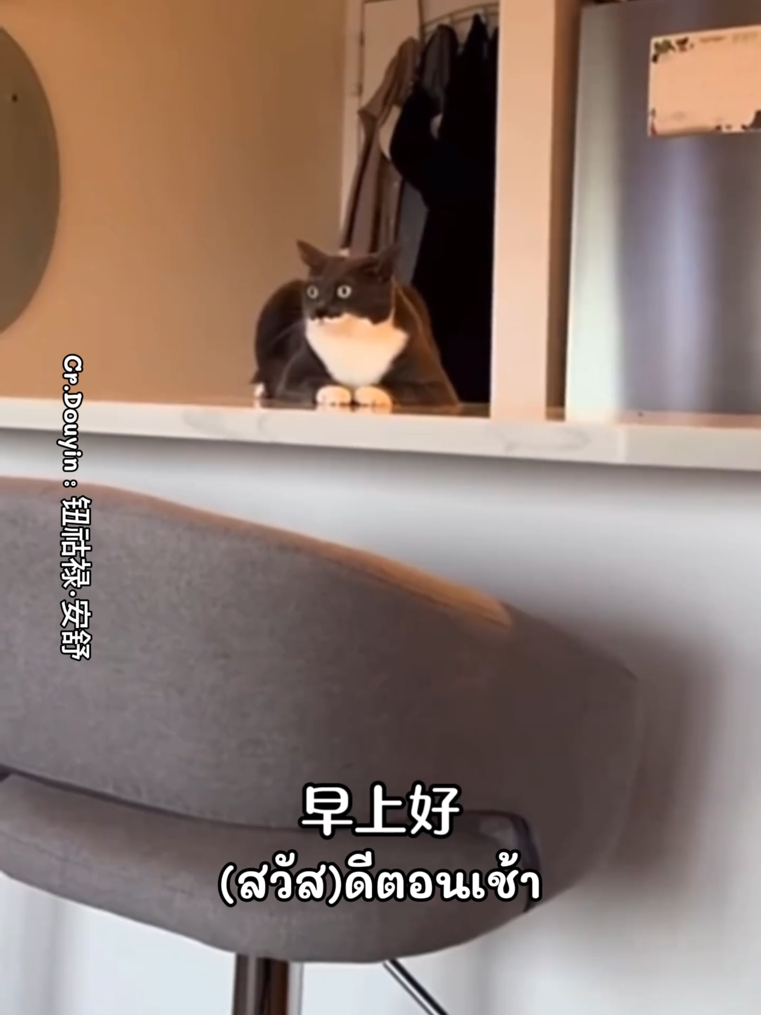 @ขออนุญาตแปล