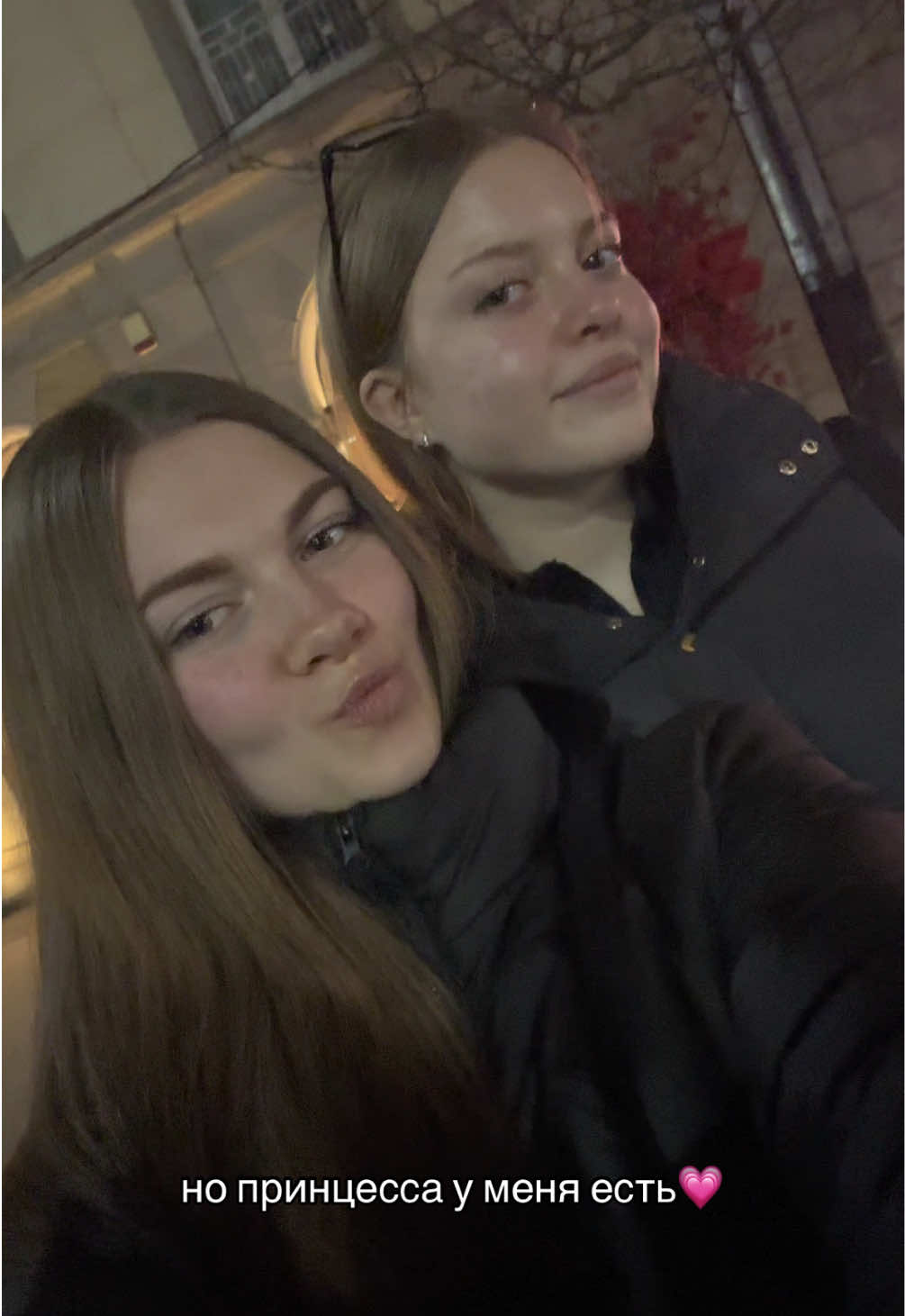 @niikolaenko