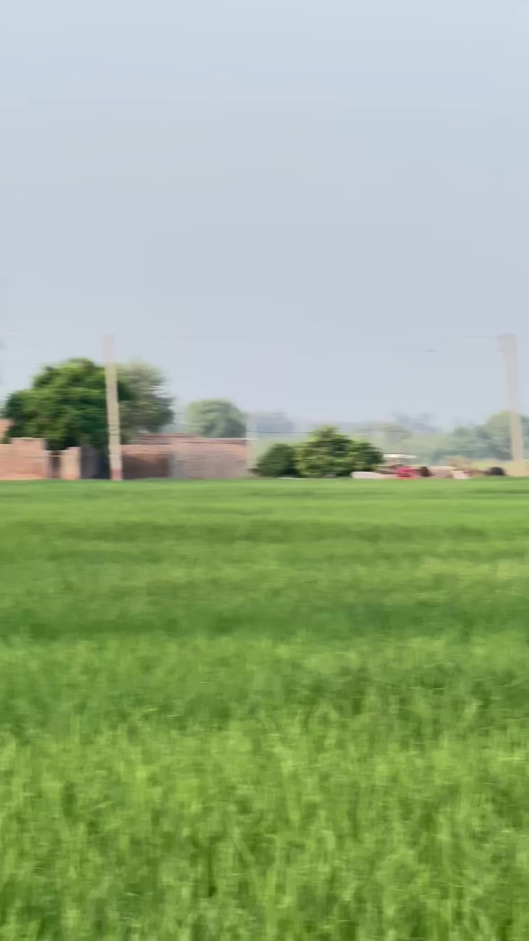 @M.HaSSaN 🇵🇰
