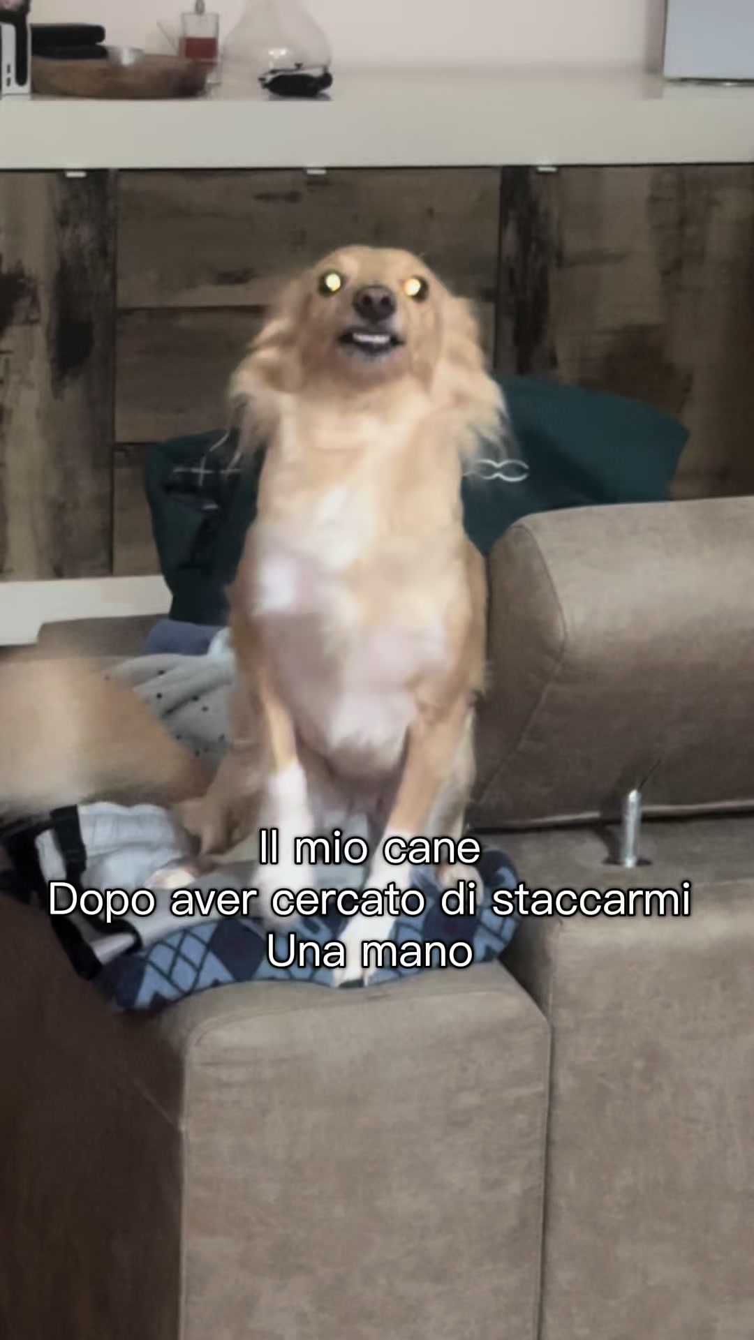 @Ilaria passaretti